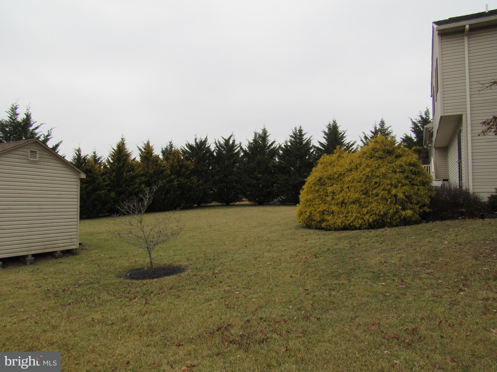 630 Brough Road Abbottstown, PA 17301 - Photo 34 of 35 Tree-lined back yard
