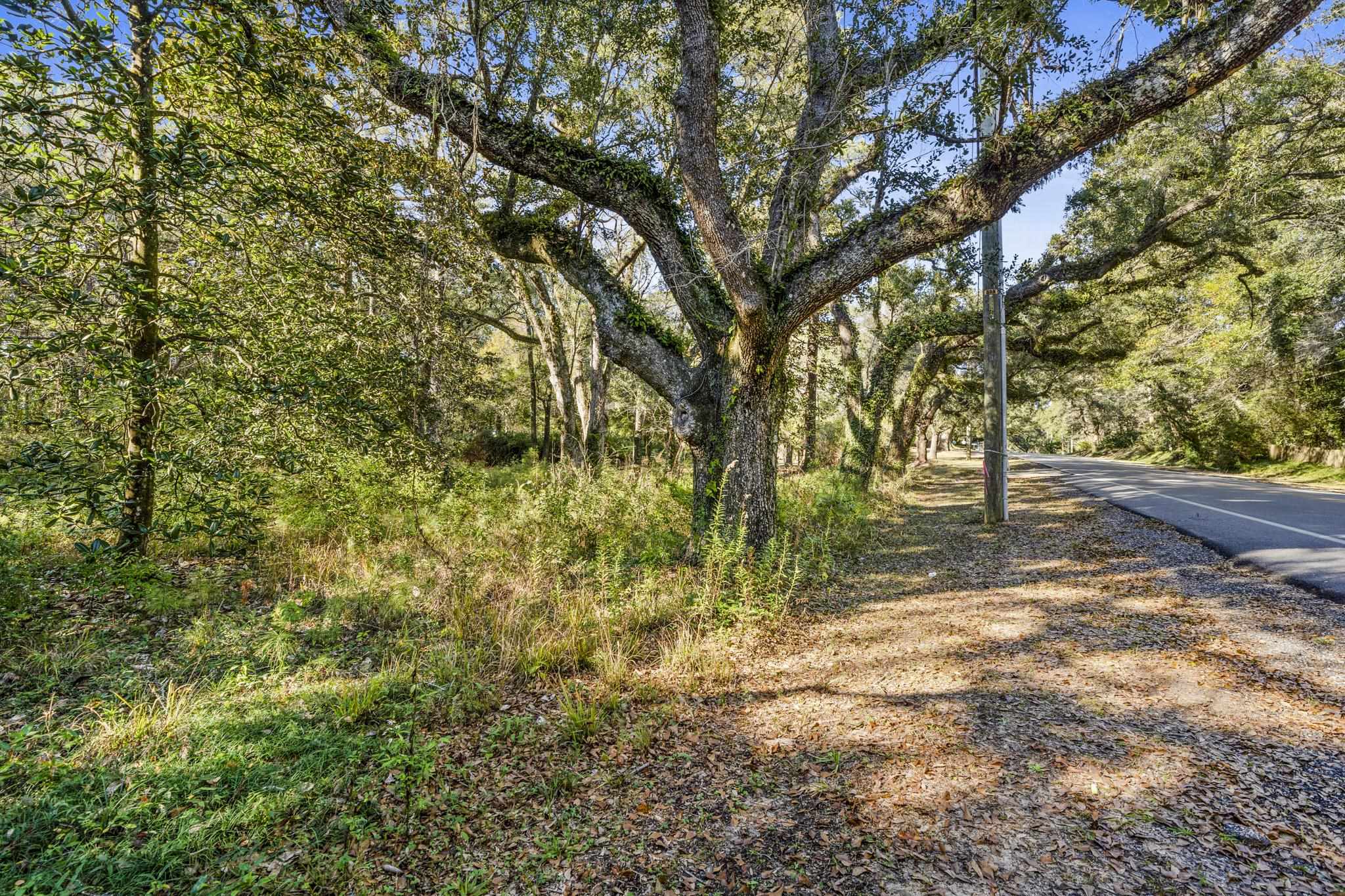 0 Main Street Fairhope, AL 36532 - Photo 5 of 27