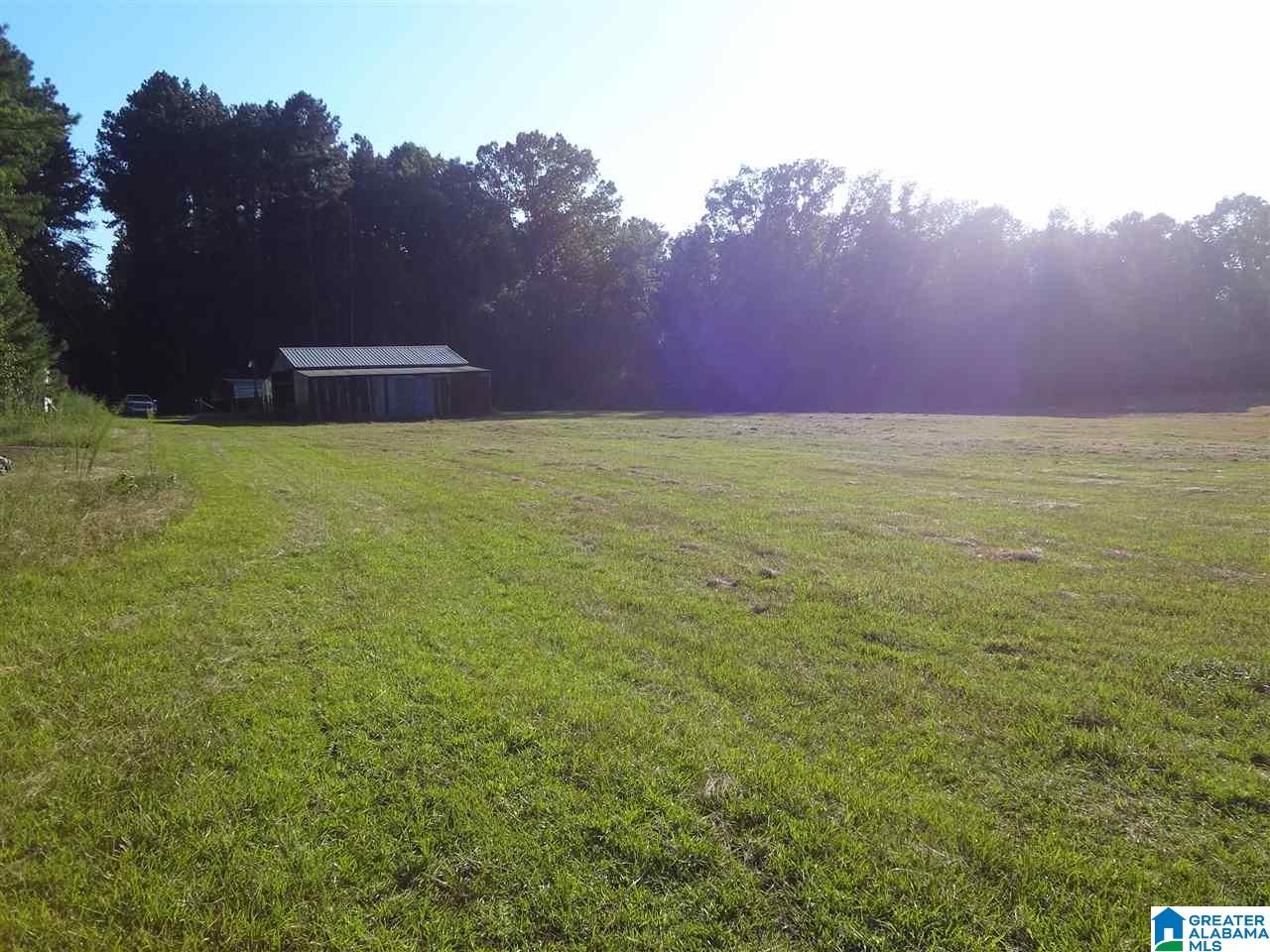 0 Highway 23, Unit 1 Springville, AL 35146 - Photo 1 of 10
