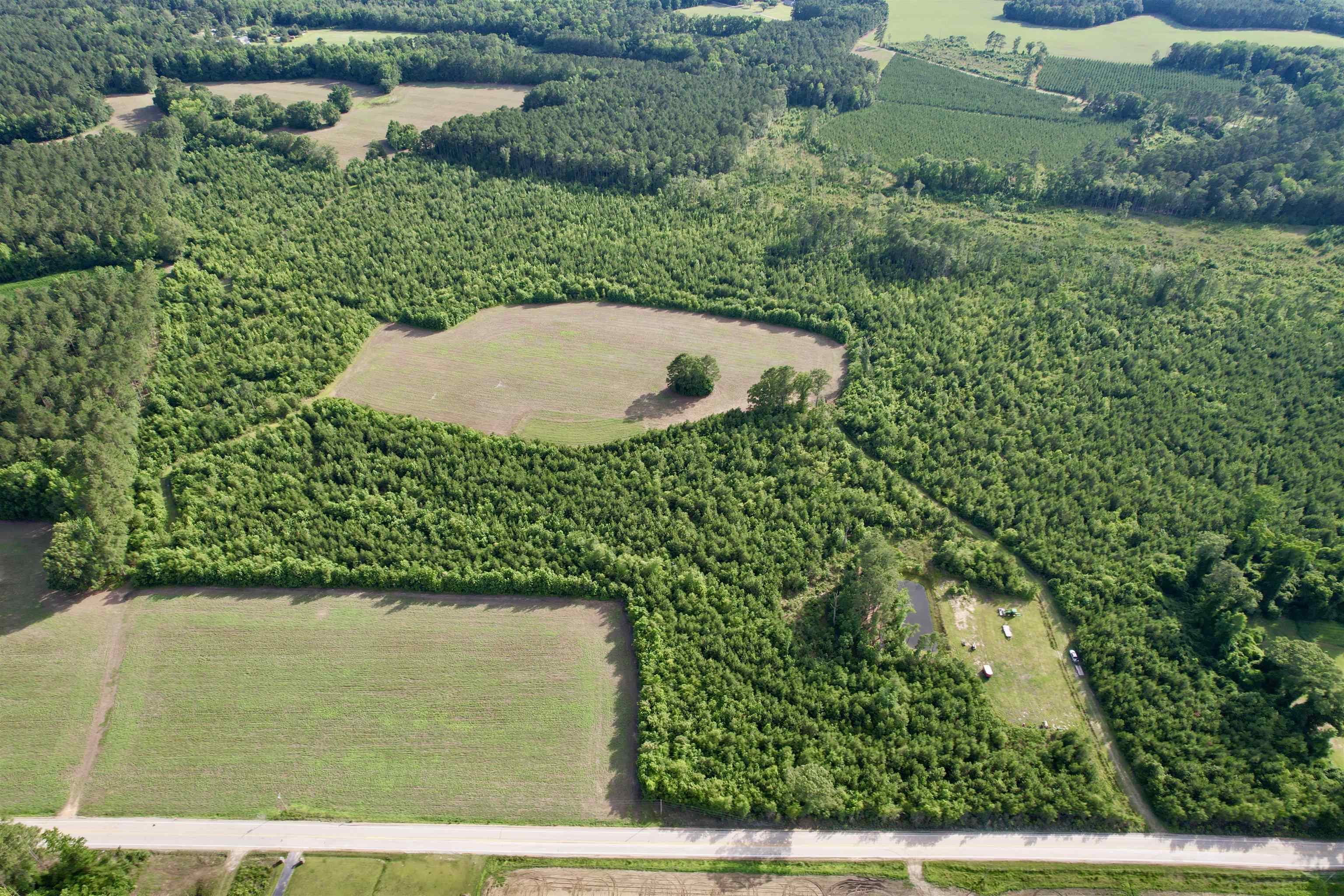 85-acres - Muddy Creek Road Hemingway, SC 29554 - Photo 21 of 31
