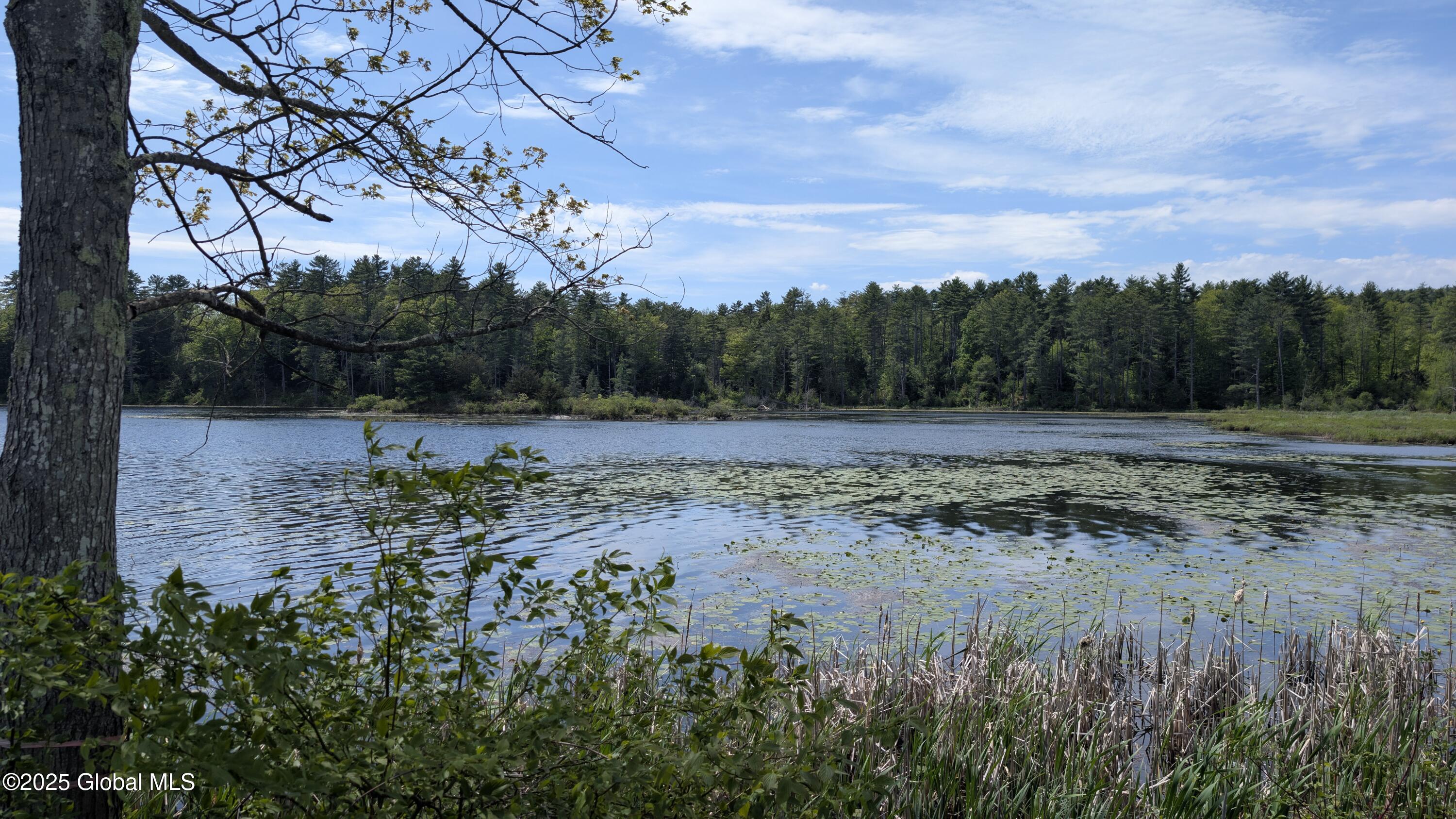 PXL_20250516_181921429