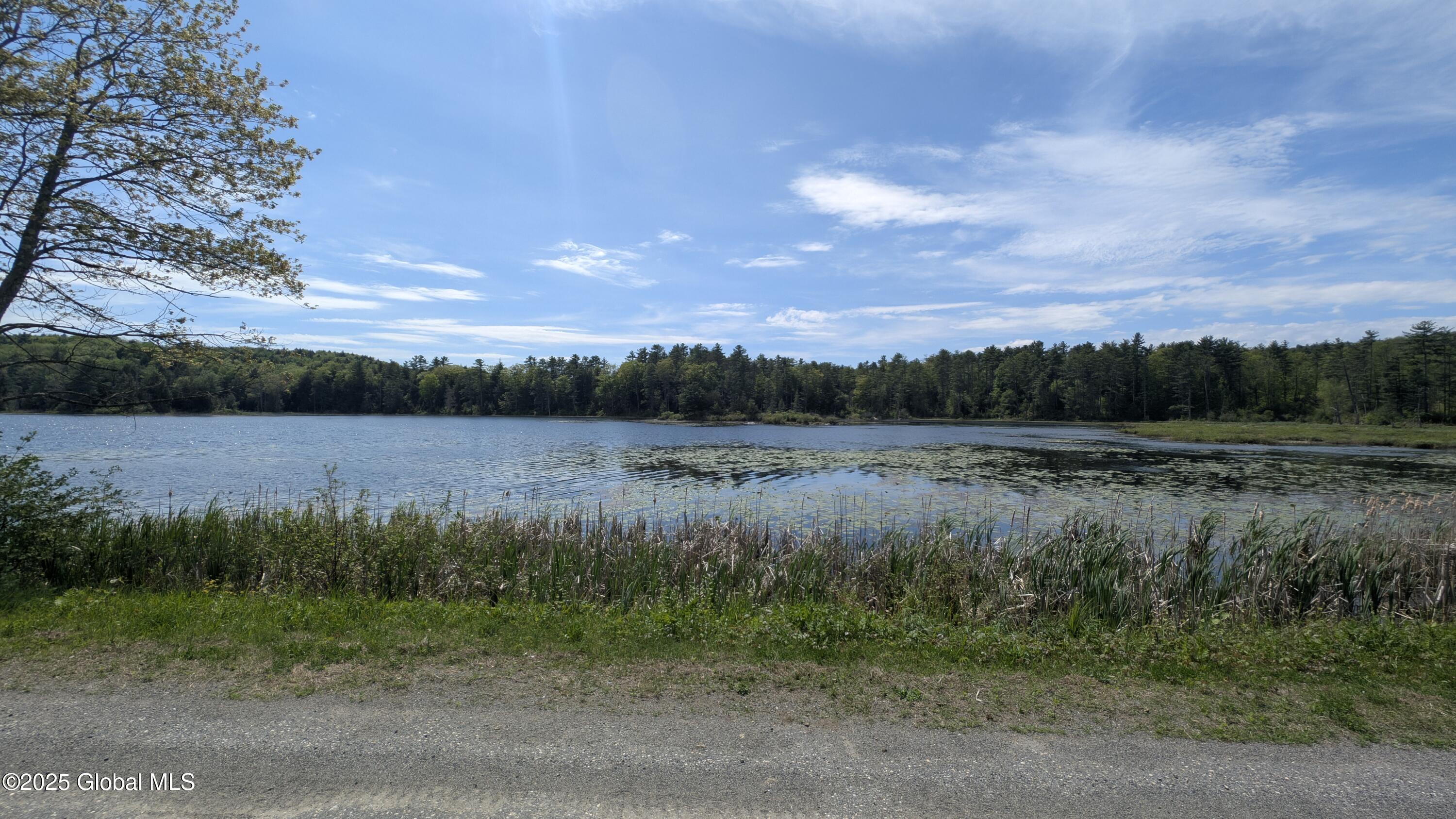 L18.4 Holcombville Road Granville, NY 12832 - Photo 5 of 8 PXL_20250516_181958015