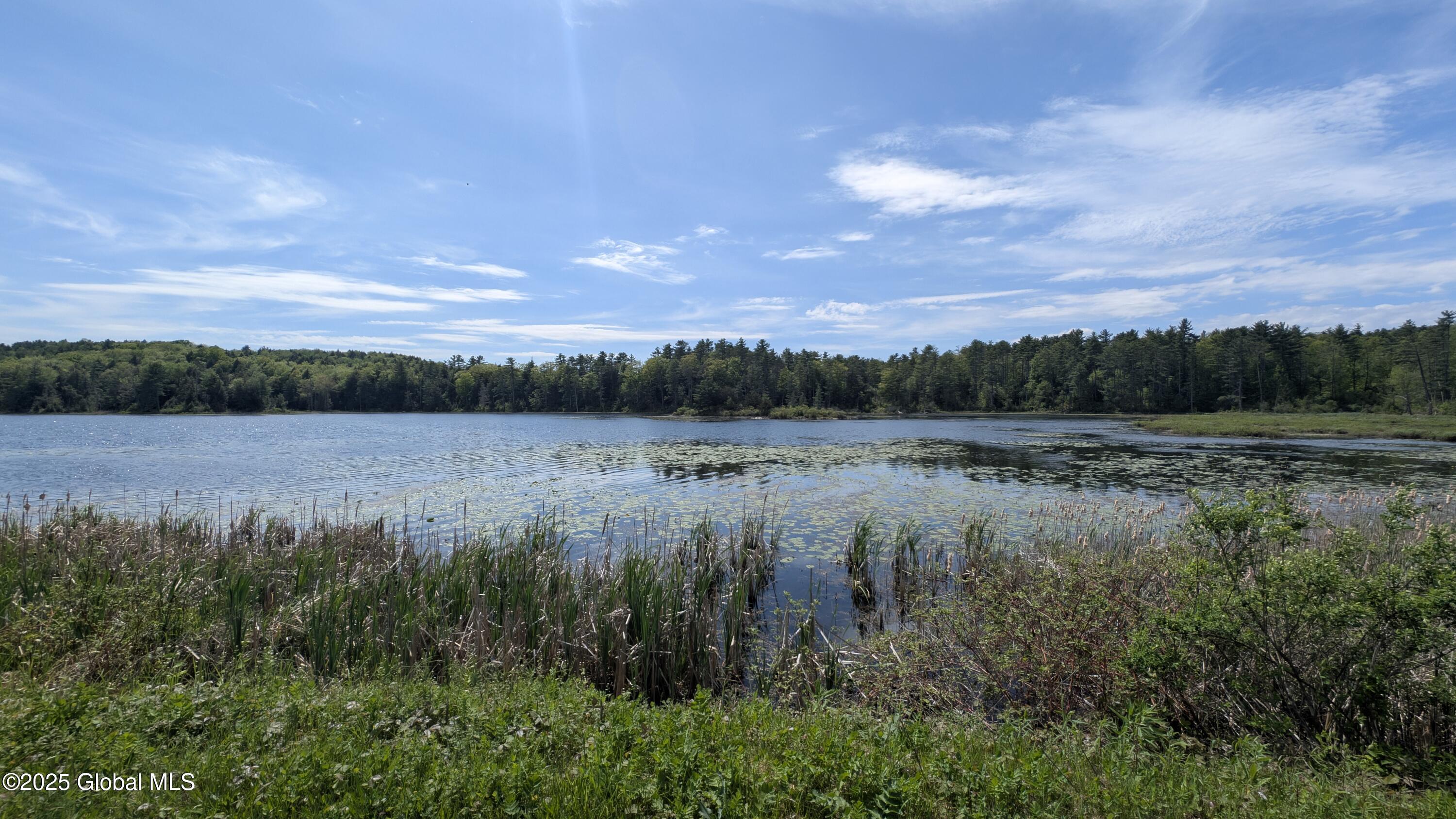 L18.4 Holcombville Road Granville, NY 12832 - Photo 6 of 8 PXL_20250516_182013755