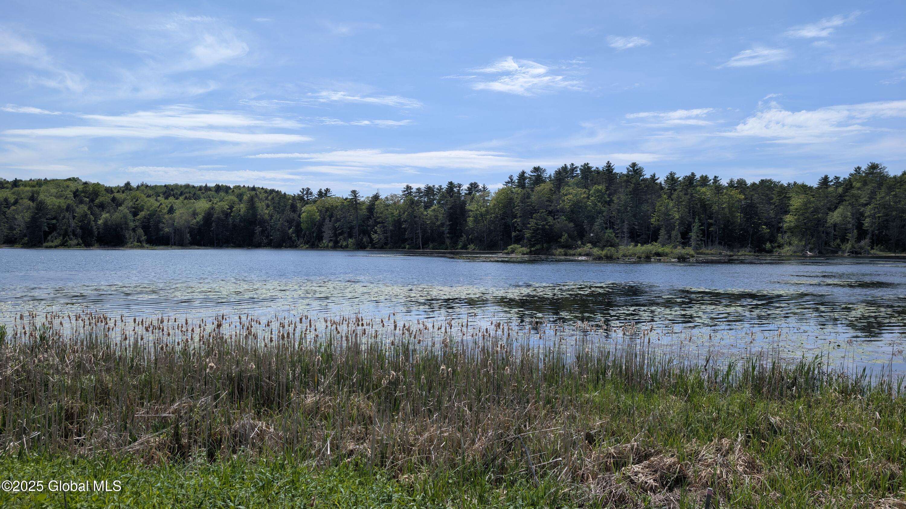 L18.4 Holcombville Road Granville, NY 12832 - Photo 7 of 8 PXL_20250516_181822543