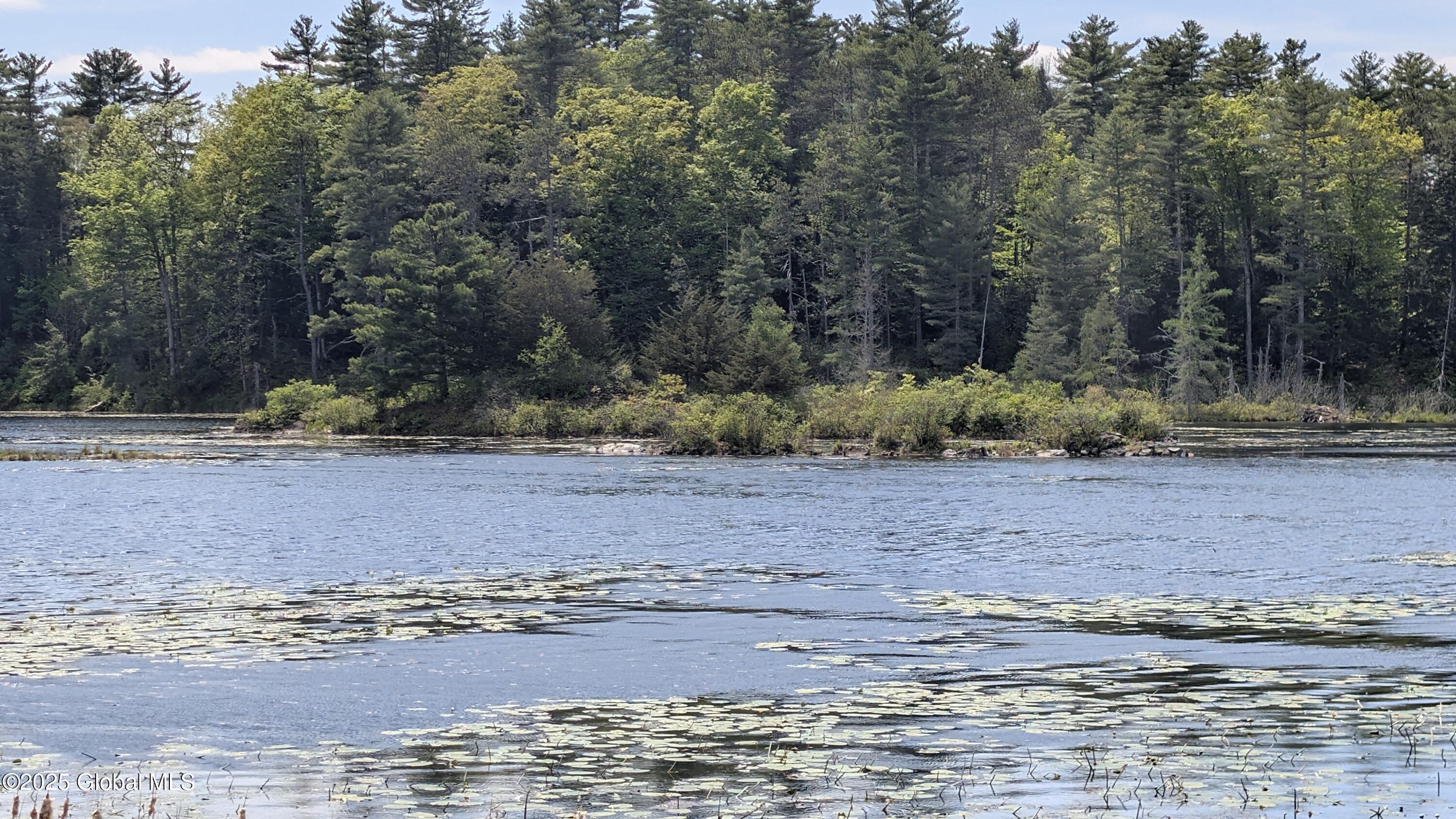 L18.4 Holcombville Road Granville, NY 12832 - Photo 8 of 8 PXL_20250516_182109851