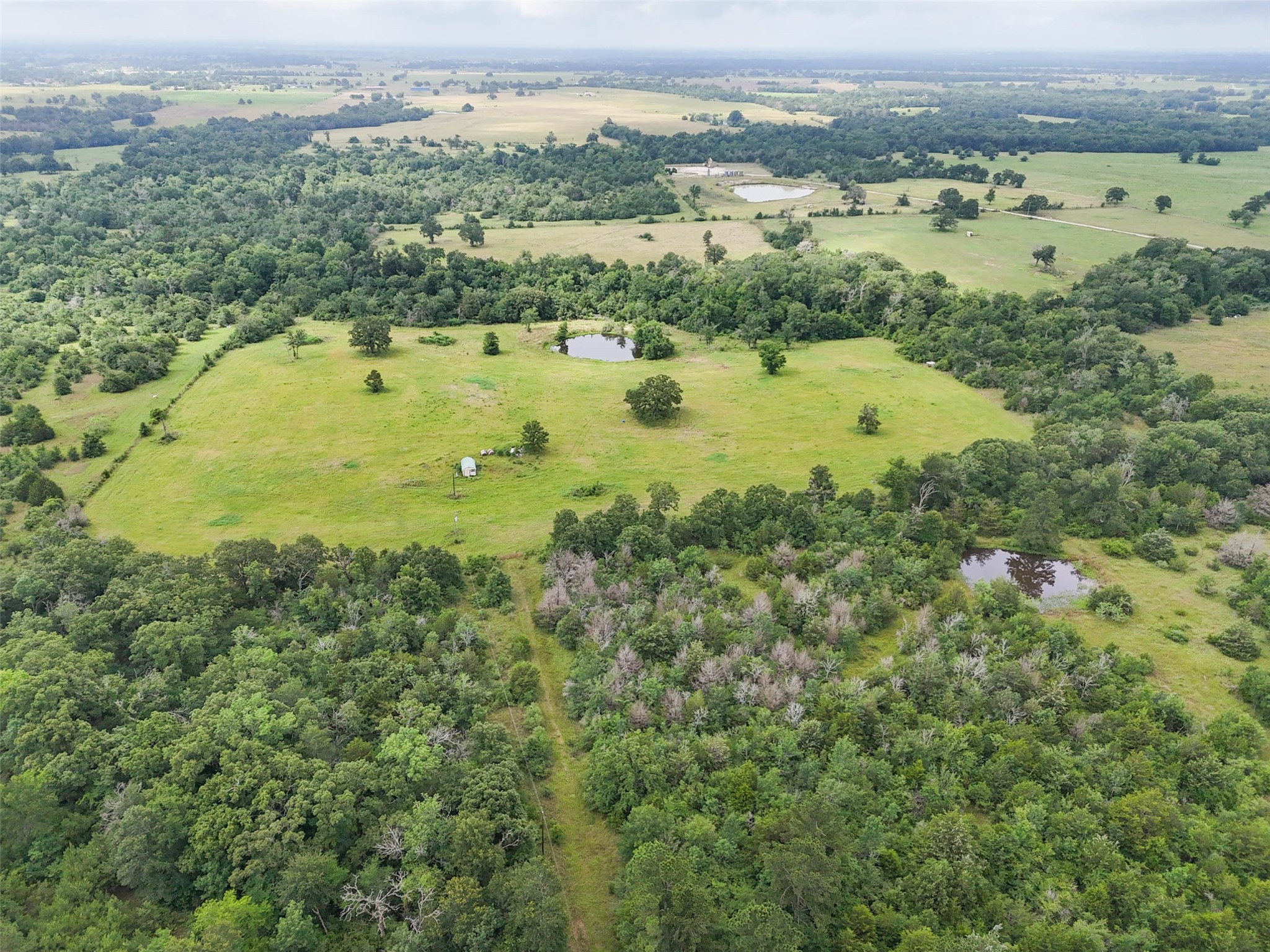 8230 Burns Road Midway, TX 75852 - Photo 3 of 5 an aerial view of residential houses with outdoor space