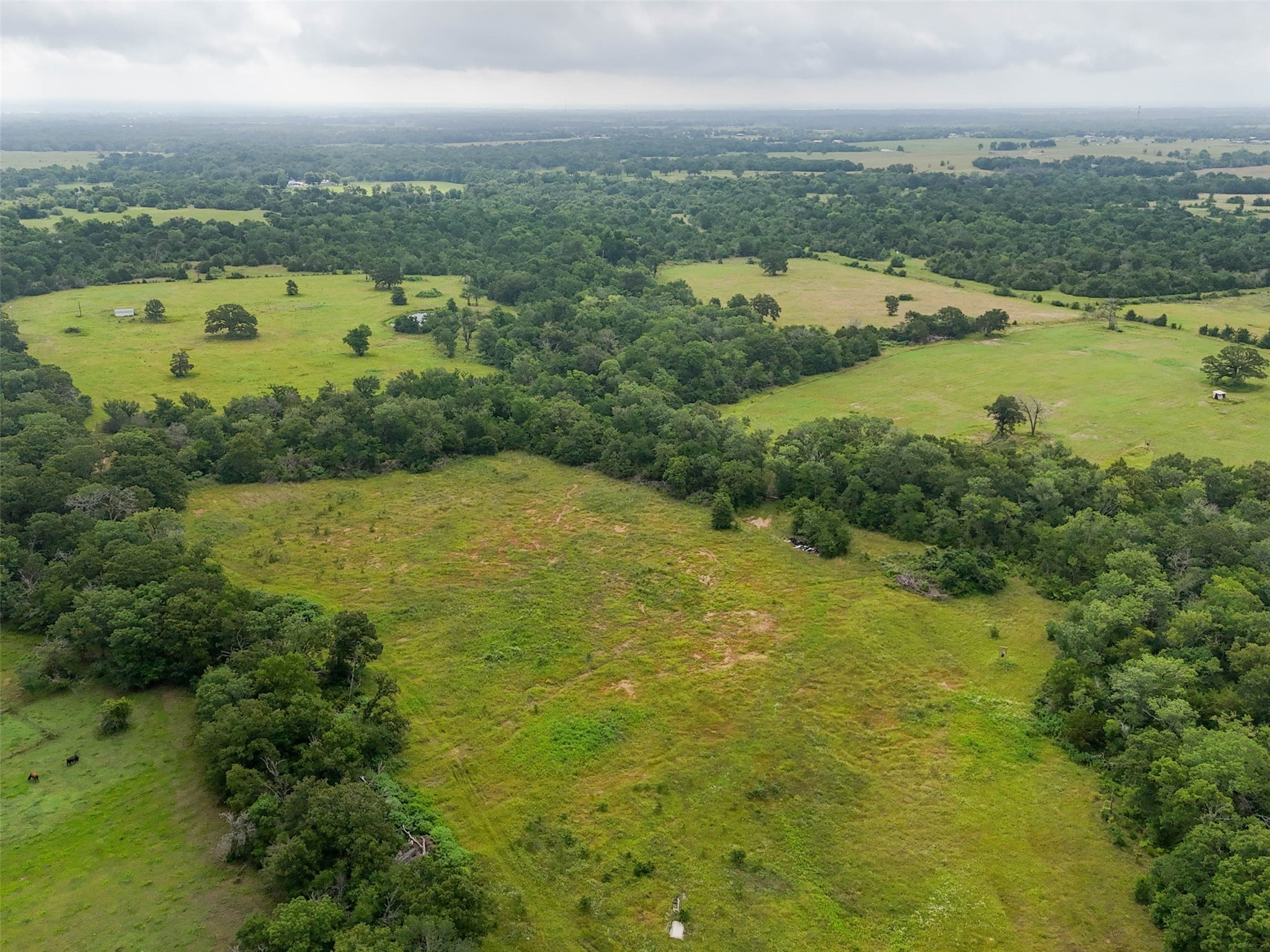 8230 Burns Road Midway, TX 75852 - Photo 4 of 5 a view of a city and mountains ocean view