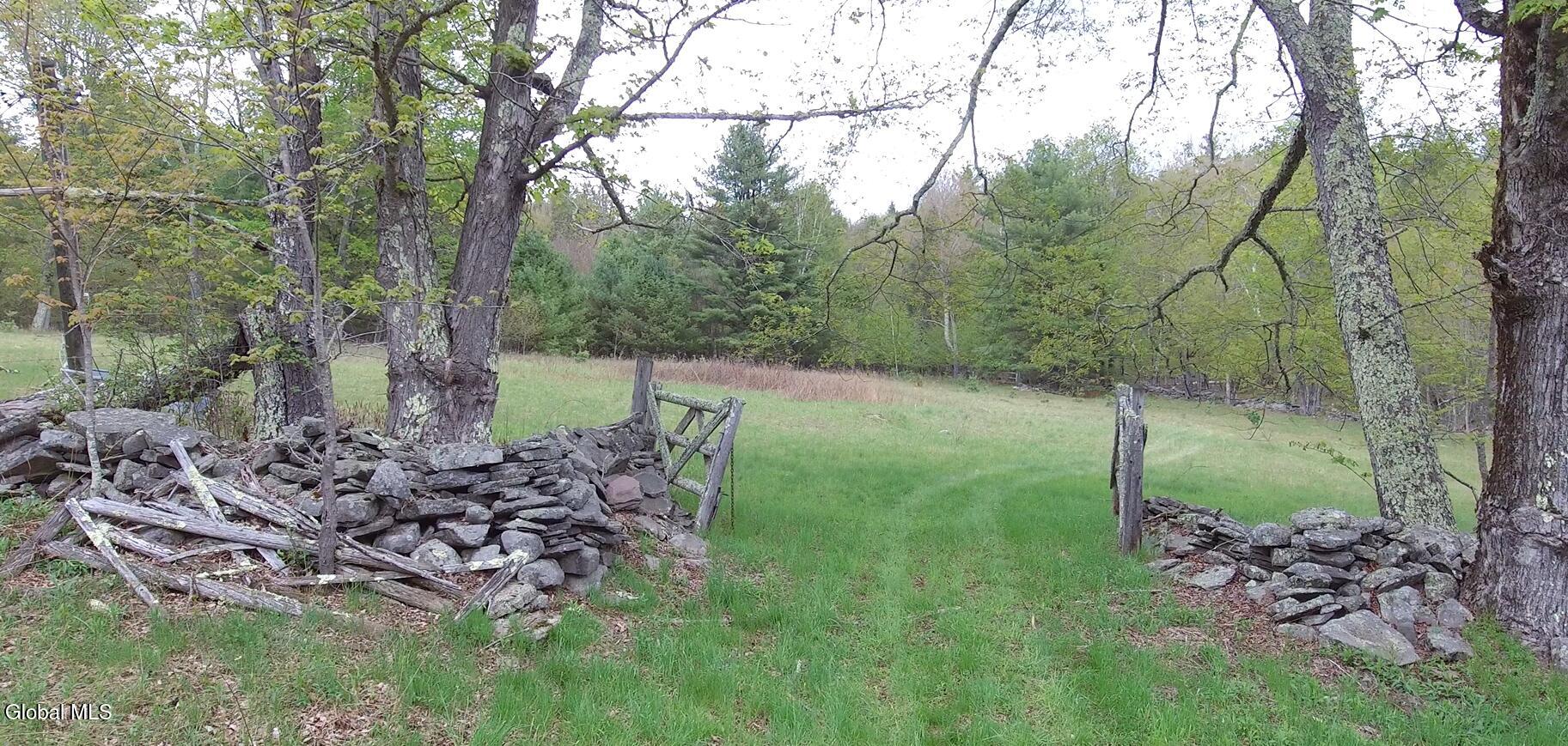 184 Cloos Road Hunter, NY 12442 - Photo 34 of 77 Screenshot (1048)