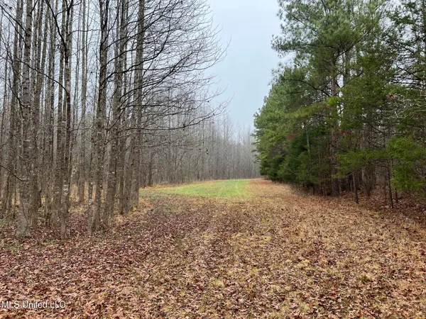 $319,000 | 4665 Muddy Ridge Road, Pocahontas, TN 38061