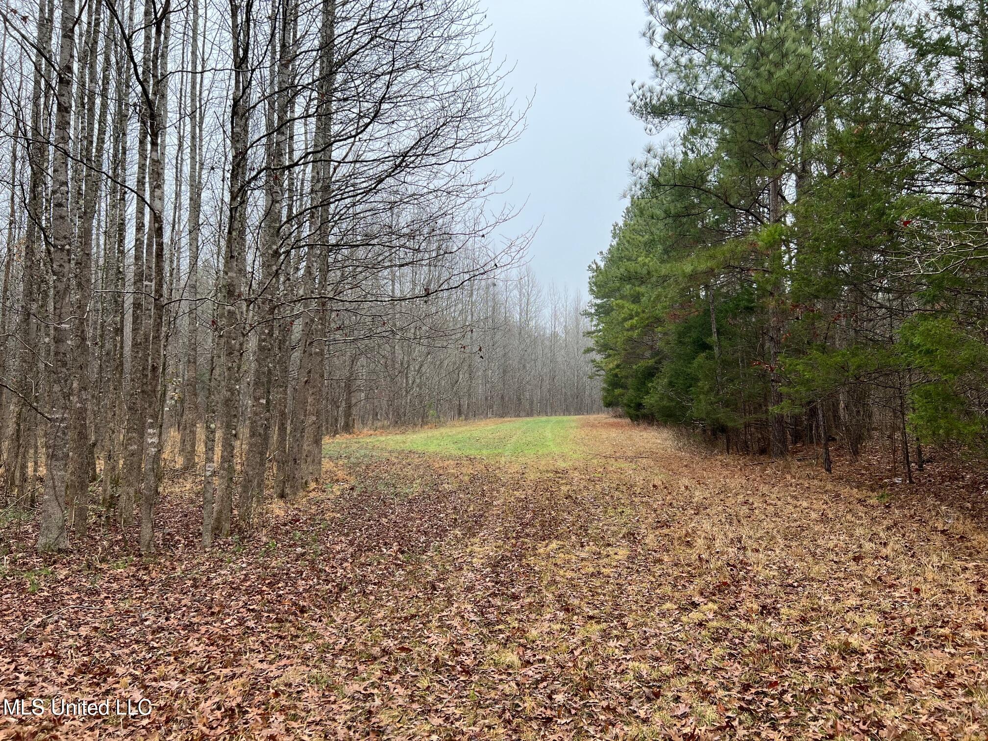 4665 Muddy Ridge Road Pocahontas, TN 38061 - Photo 11 of 12 IMG_5075