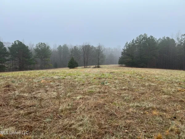 $319,000 | 4665 Muddy Ridge Road, Pocahontas, TN 38061