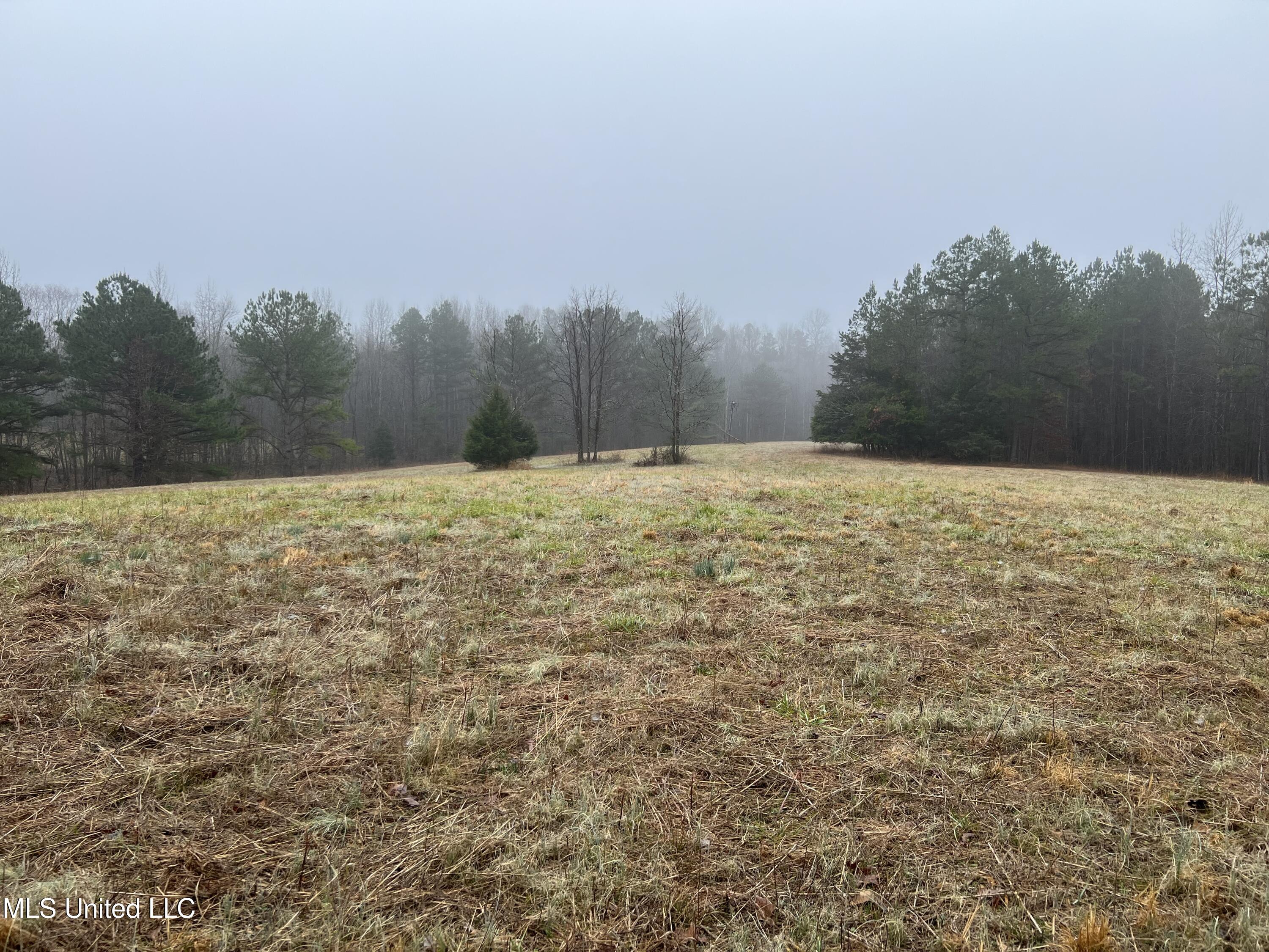 4665 Muddy Ridge Road Pocahontas, TN 38061 - Photo 3 of 12 IMG_5060