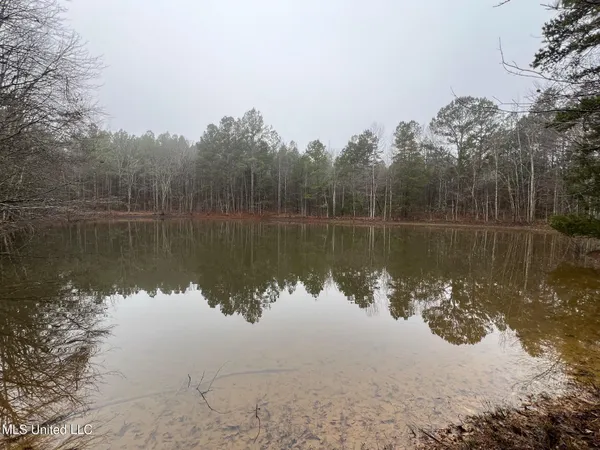 $319,000 | 4665 Muddy Ridge Road, Pocahontas, TN 38061