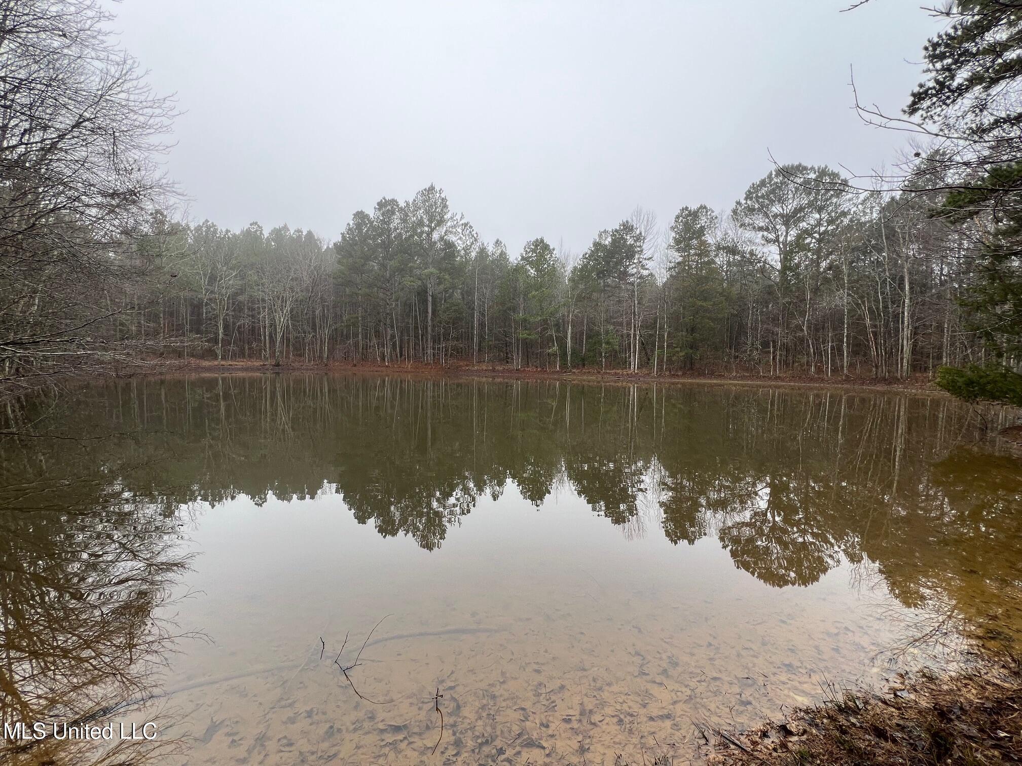 4665 Muddy Ridge Road Pocahontas, TN 38061 - Photo 4 of 12 IMG_5065