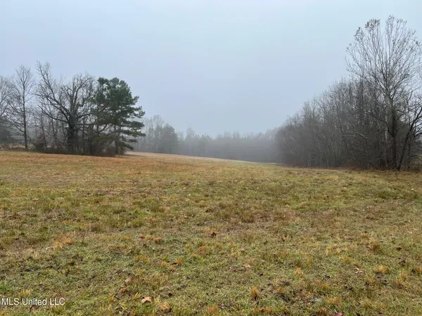 $319,000 | 4665 Muddy Ridge Road, Pocahontas, TN 38061