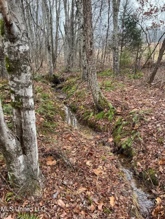 $319,000 | 4665 Muddy Ridge Road, Pocahontas, TN 38061