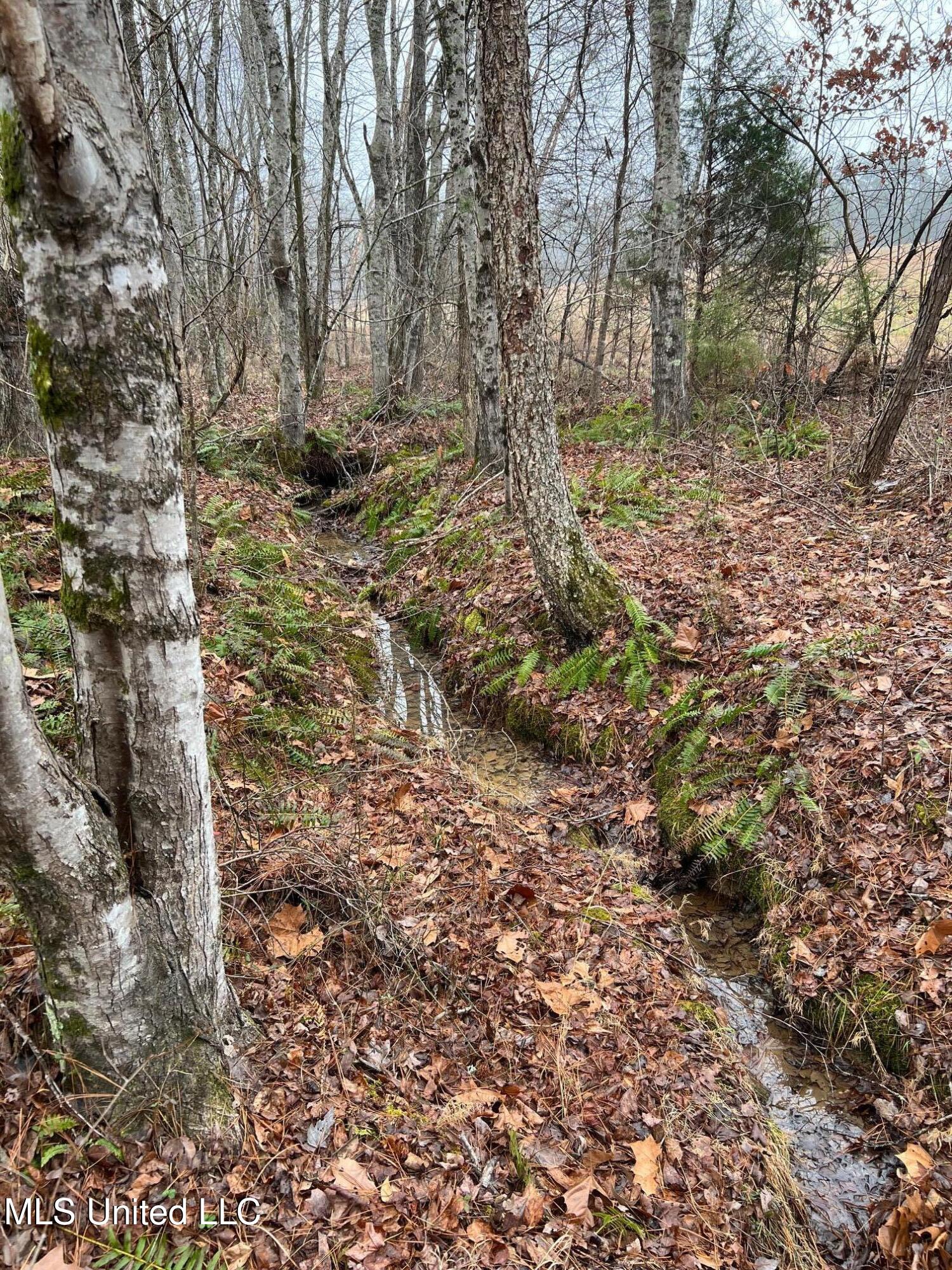 4665 Muddy Ridge Road Pocahontas, TN 38061 - Photo 6 of 12 IMG_5071