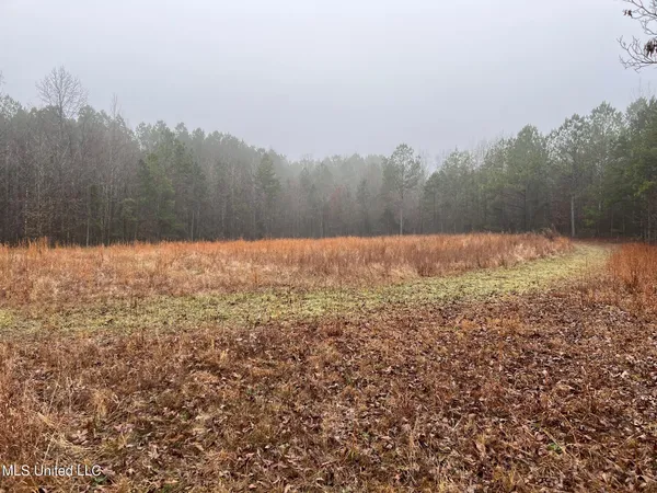 $319,000 | 4665 Muddy Ridge Road, Pocahontas, TN 38061