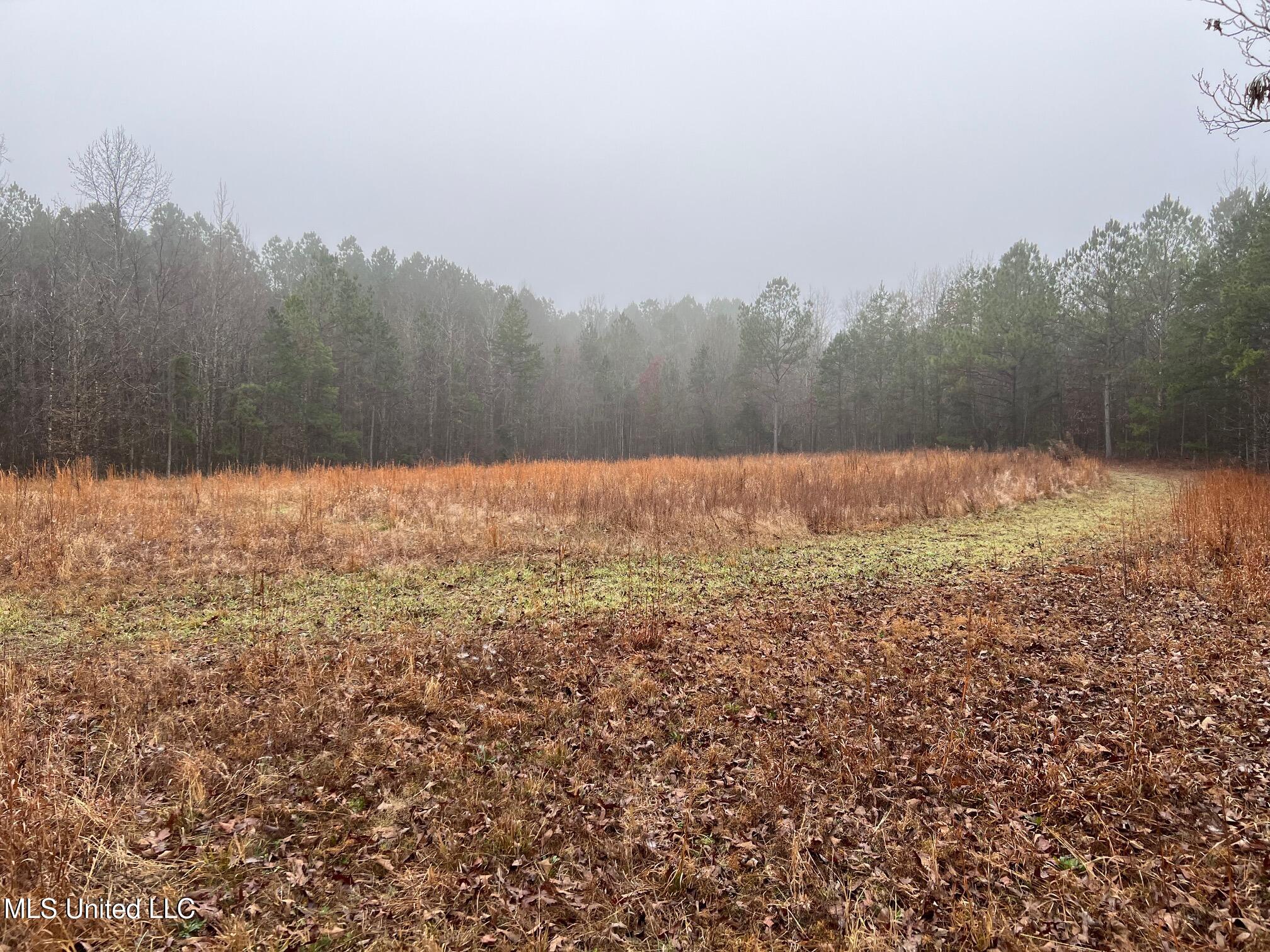 4665 Muddy Ridge Road Pocahontas, TN 38061 - Photo 7 of 12 IMG_5063