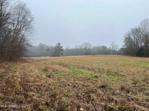 $319,000 | 4665 Muddy Ridge Road, Pocahontas, TN 38061