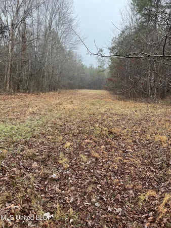 $319,000 | 4665 Muddy Ridge Road, Pocahontas, TN 38061