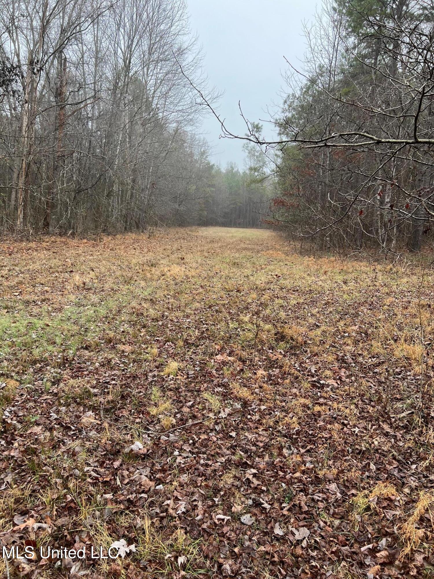4665 Muddy Ridge Road Pocahontas, TN 38061 - Photo 9 of 12 IMG_5073