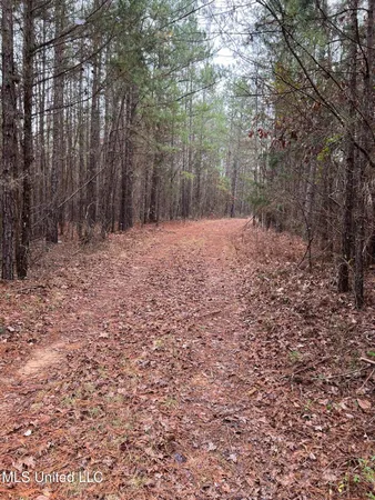 $319,000 | 4665 Muddy Ridge Road, Pocahontas, TN 38061