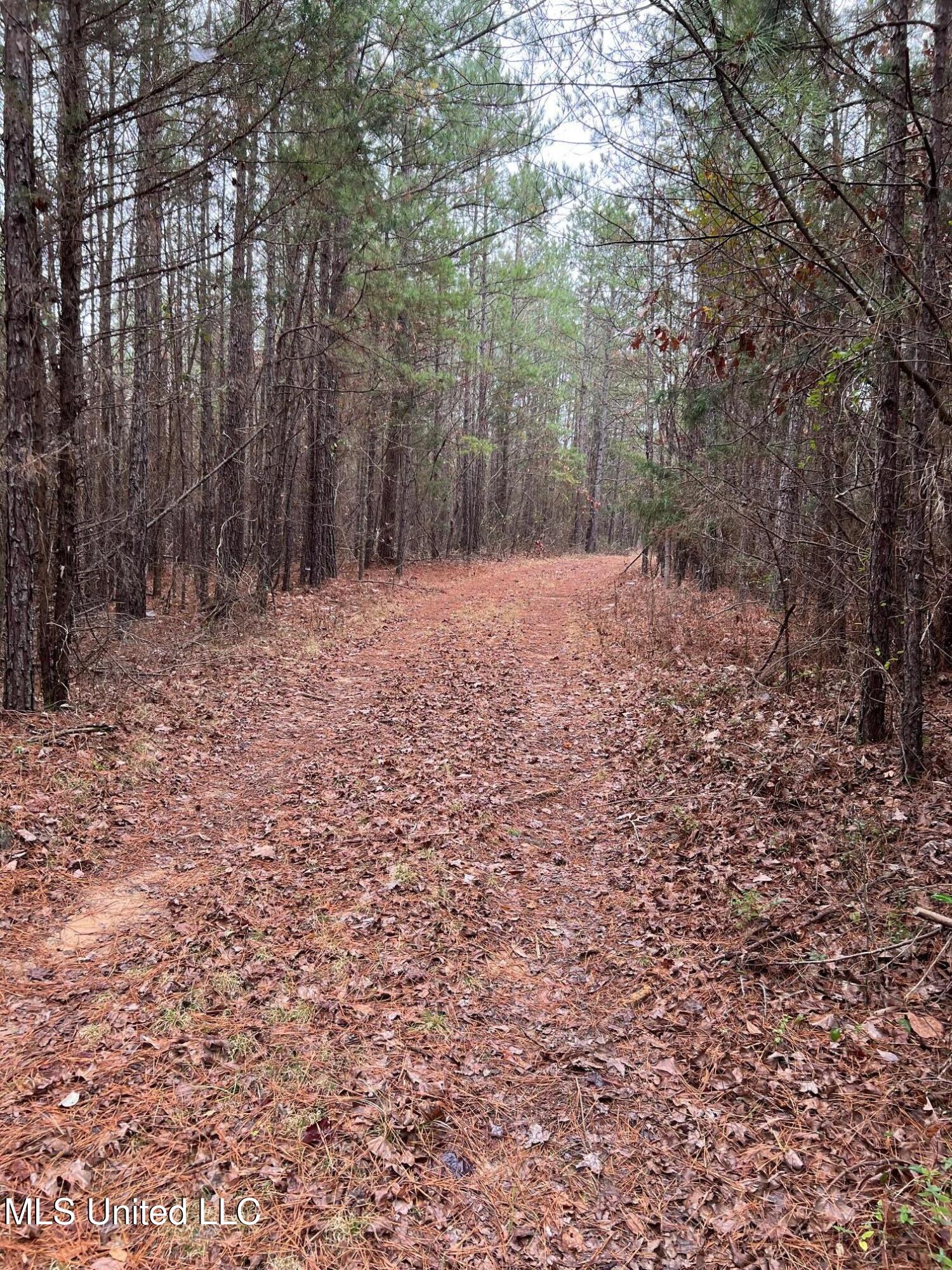 4665 Muddy Ridge Road Pocahontas, TN 38061 - Photo 10 of 12 IMG_5078