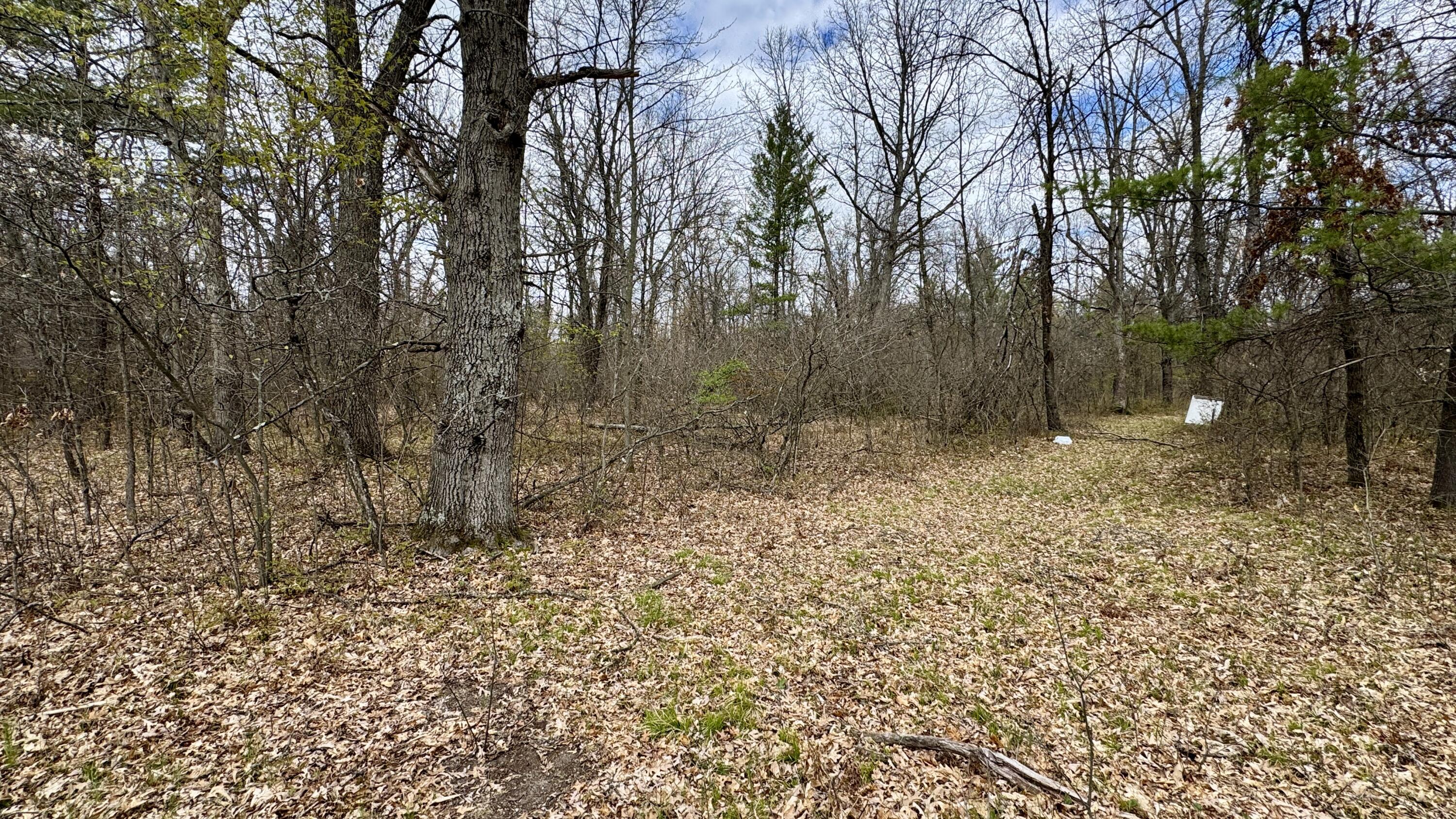 1496 17 Mile Road Marion, MI 49665 - Photo 12 of 27 Greg Bosscher (13)