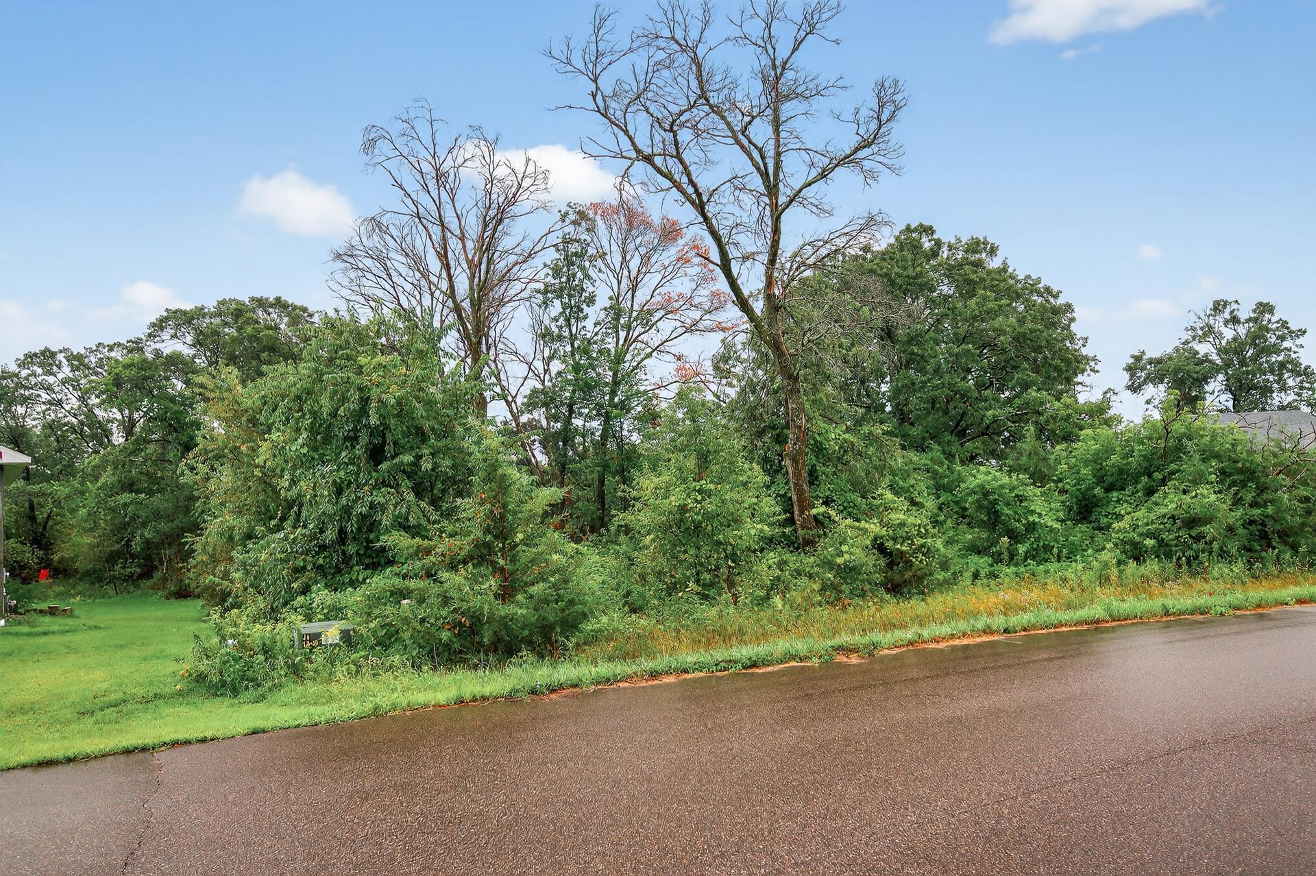 Tbd 143rd Street Northwest Zimmerman, MN 55398 - Photo 2 of 10