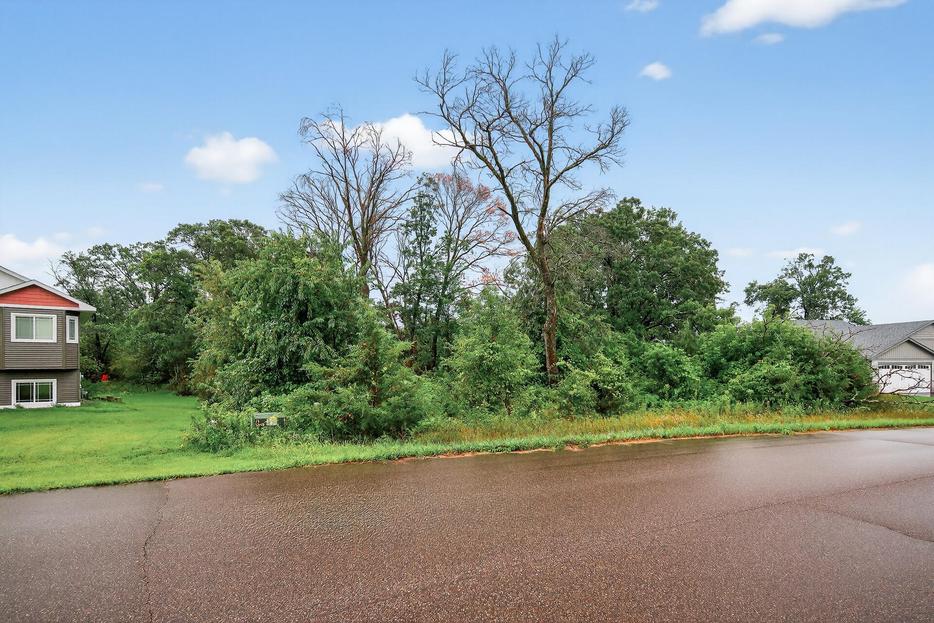 Tbd 143rd Street Northwest Zimmerman, MN 55398 - Photo 3 of 10