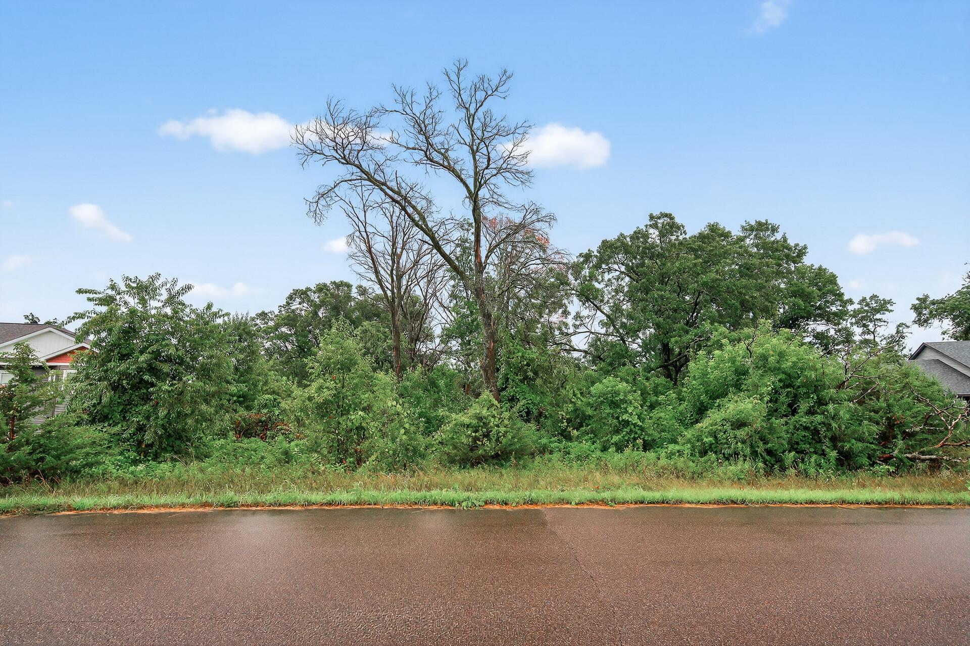 Tbd 143rd Street Northwest Zimmerman, MN 55398 - Photo 4 of 10