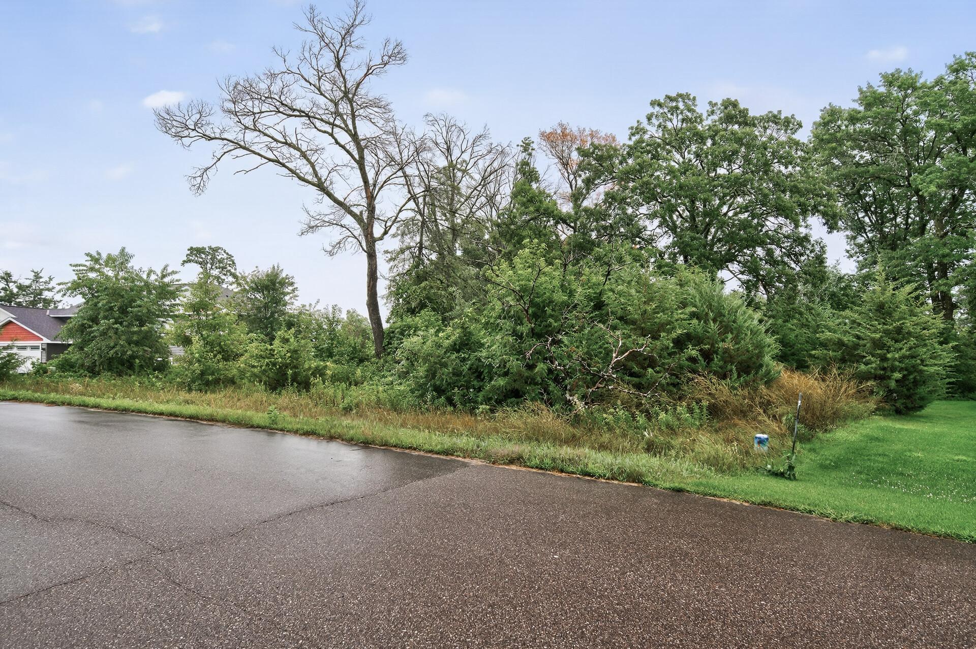 Tbd 143rd Street Northwest Zimmerman, MN 55398 - Photo 5 of 10