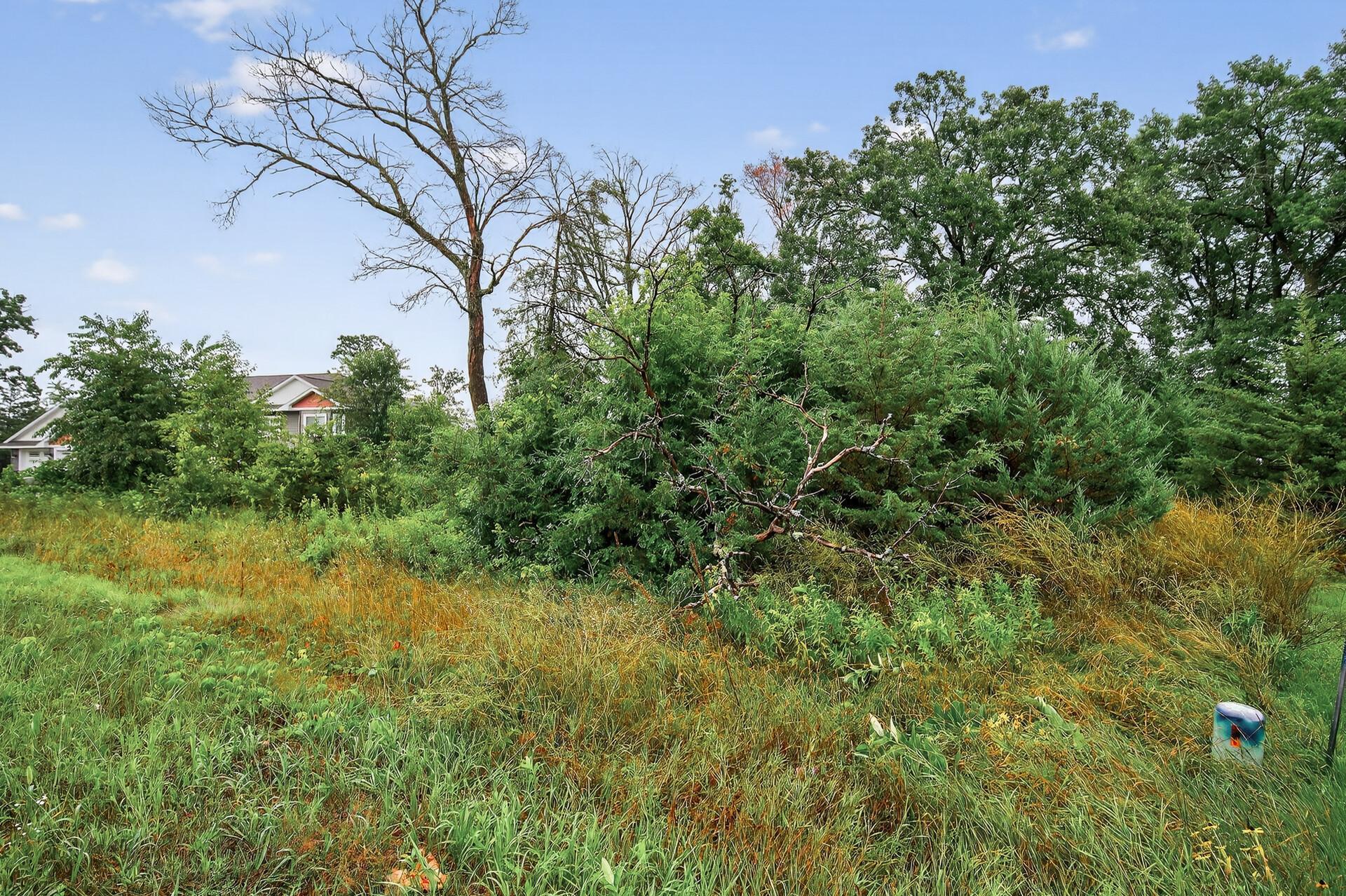 Tbd 143rd Street Northwest Zimmerman, MN 55398 - Photo 6 of 10