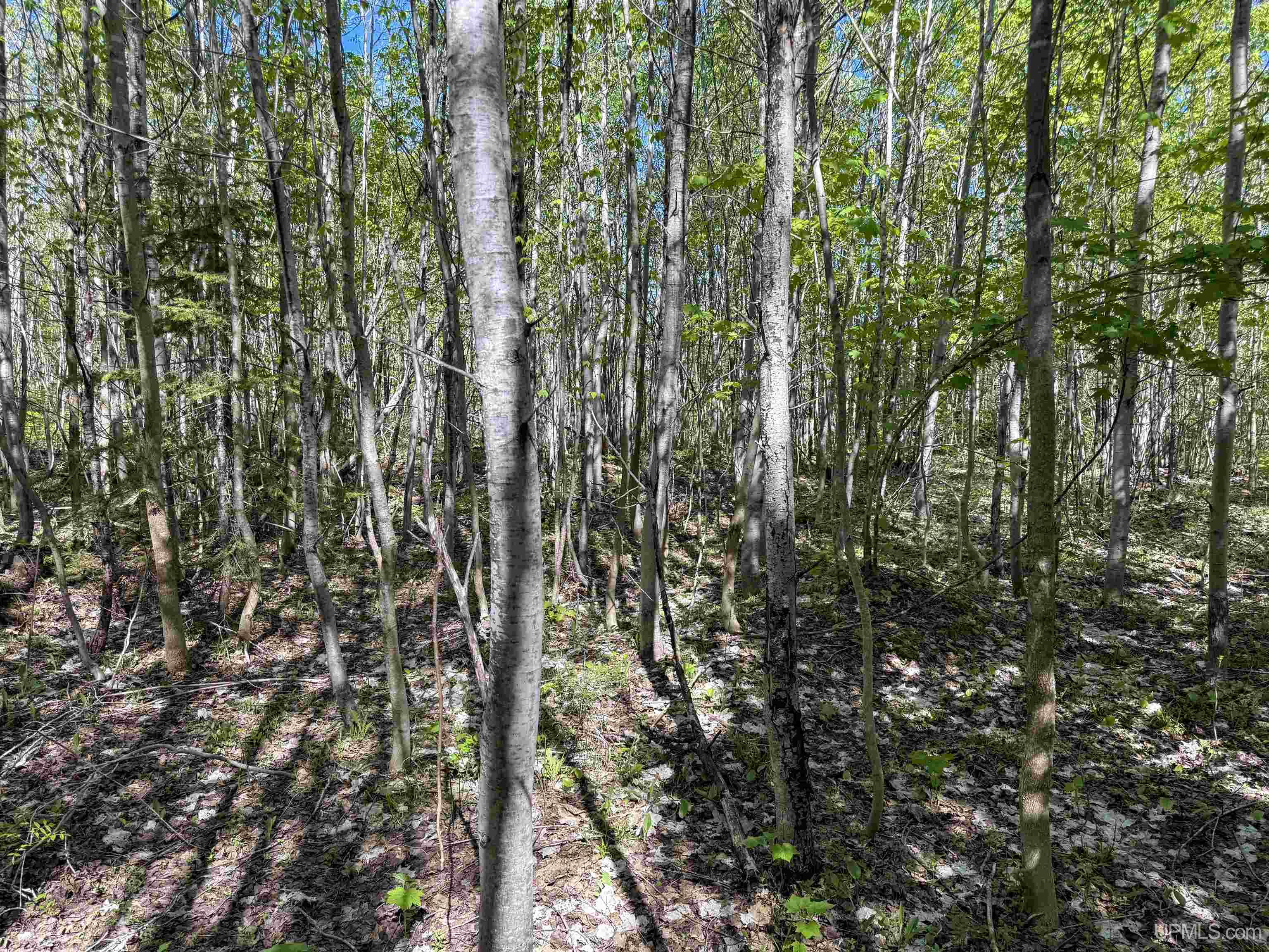 Lot A Gratiot River Road Calumet, MI 49913 - Photo 3 of 35