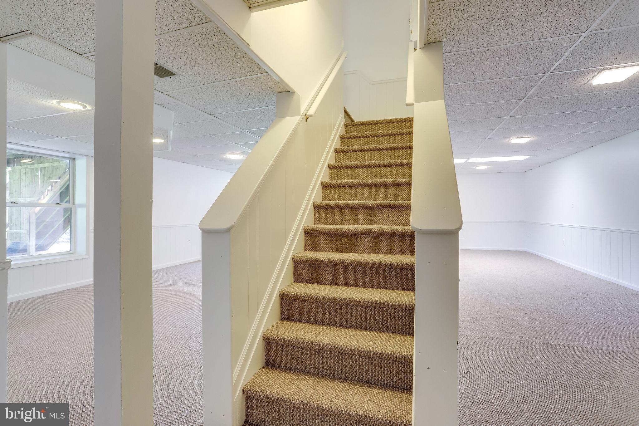 1009 Riva Ridge Drive Great Falls, VA 22066 - Photo 47 of 62 Large Lower Level to play inside