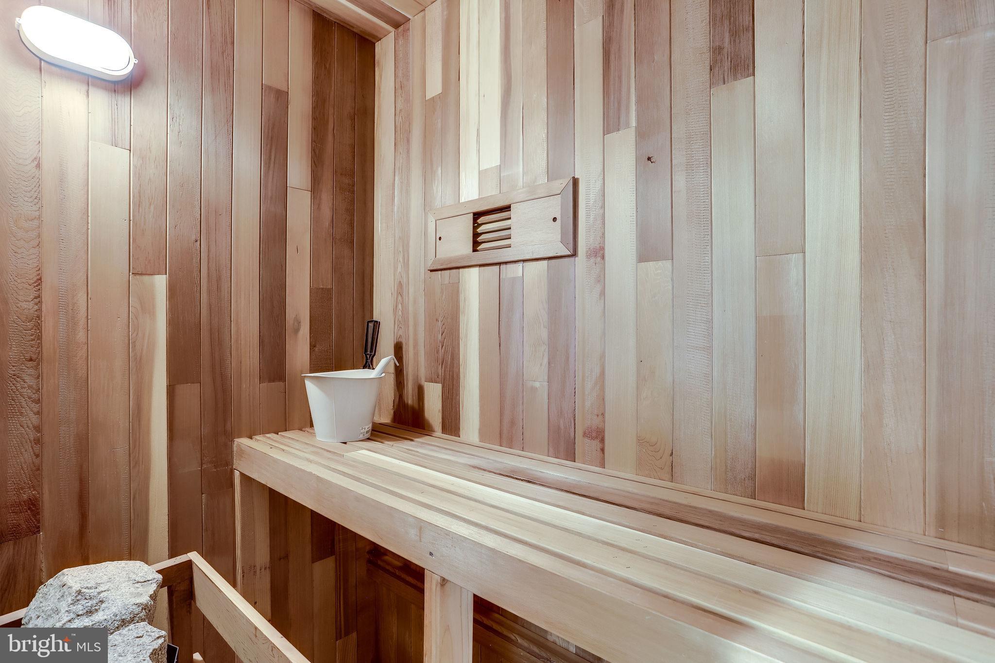 1009 Riva Ridge Drive Great Falls, VA 22066 - Photo 50 of 62 Sauna