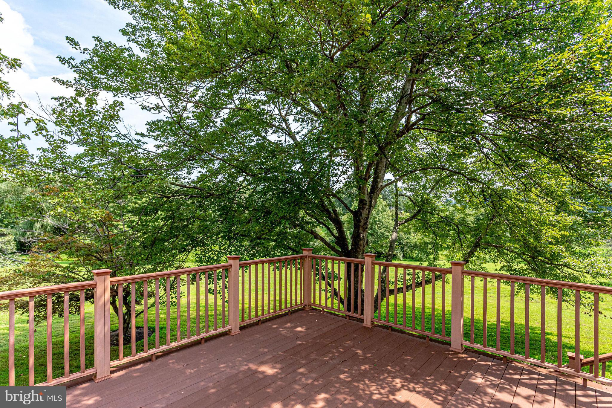 1009 Riva Ridge Drive Great Falls, VA 22066 - Photo 53 of 62 Large Deck