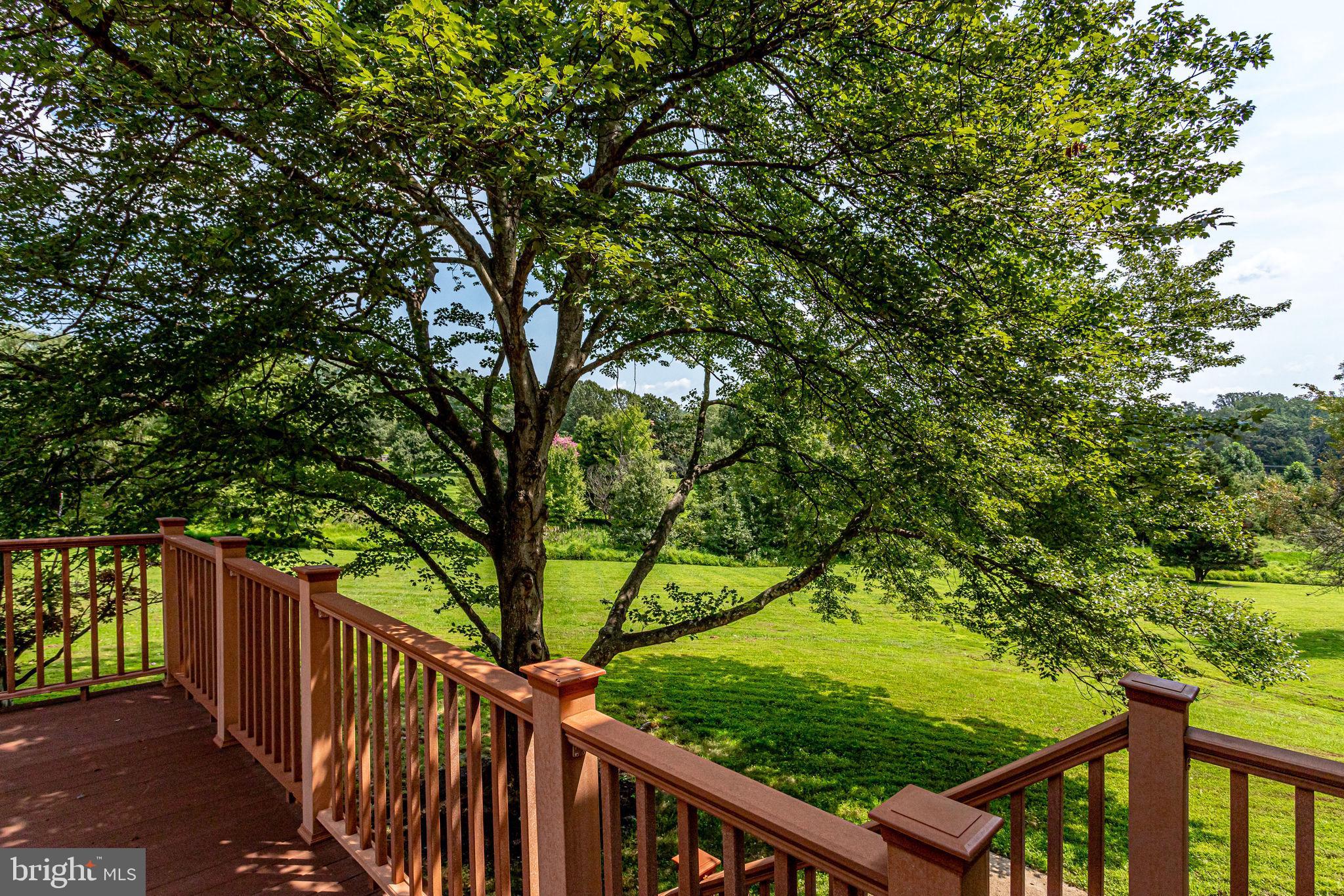 1009 Riva Ridge Drive Great Falls, VA 22066 - Photo 54 of 62 Serene View from Deck