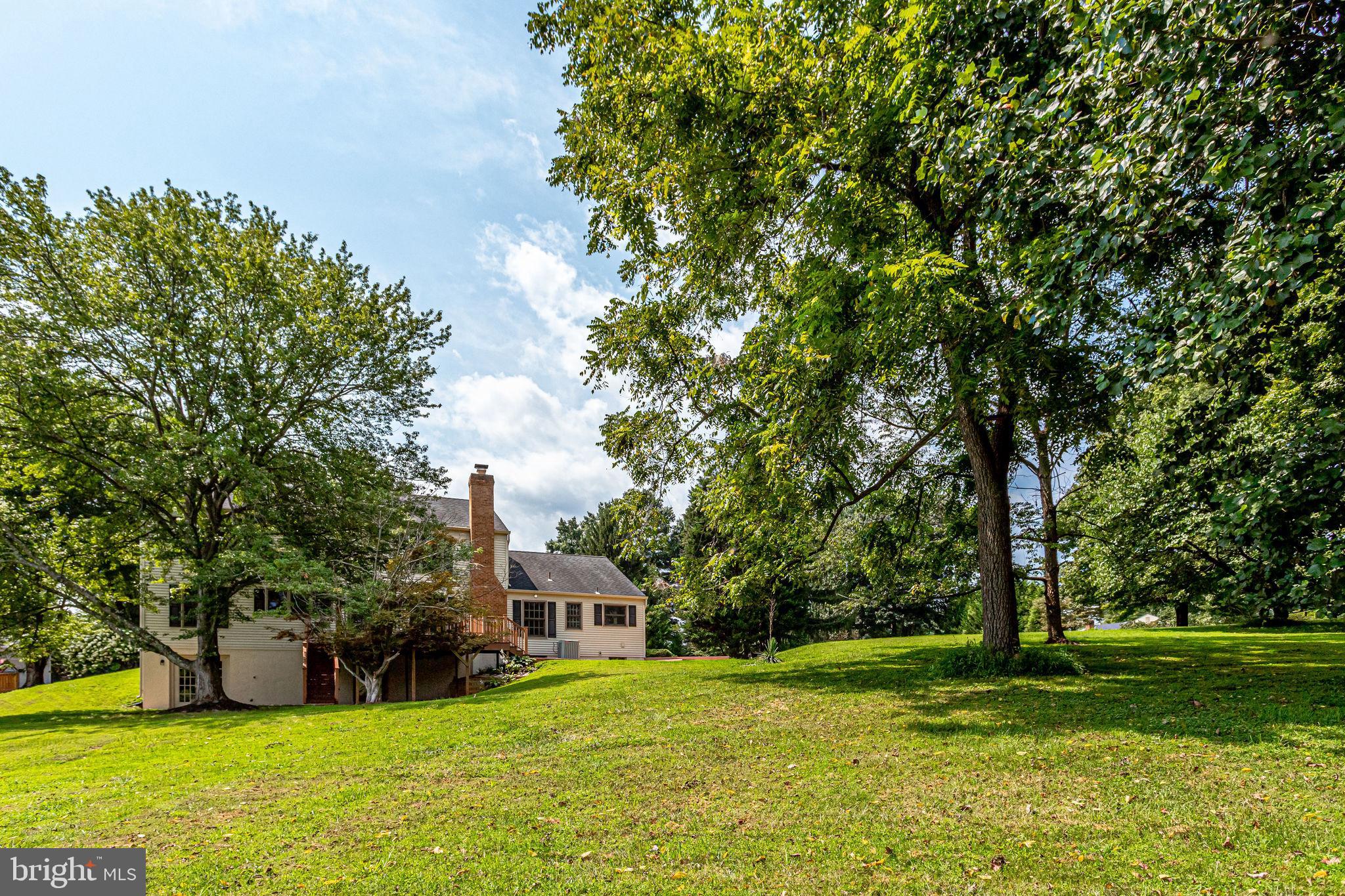 1009 Riva Ridge Drive Great Falls, VA 22066 - Photo 59 of 62 Back Elevation