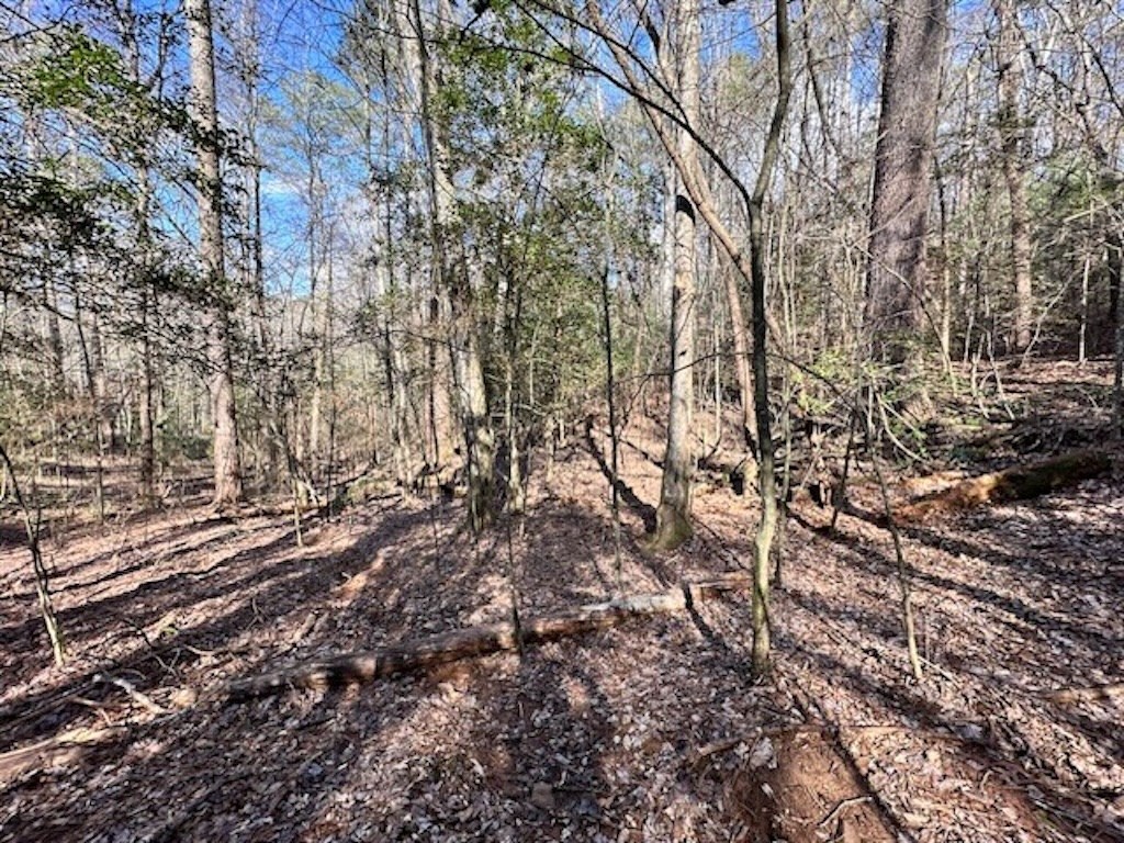 3764 R Eagle Mountain Ellijay, GA 30540 - Photo 10 of 19 Gallery Image 10