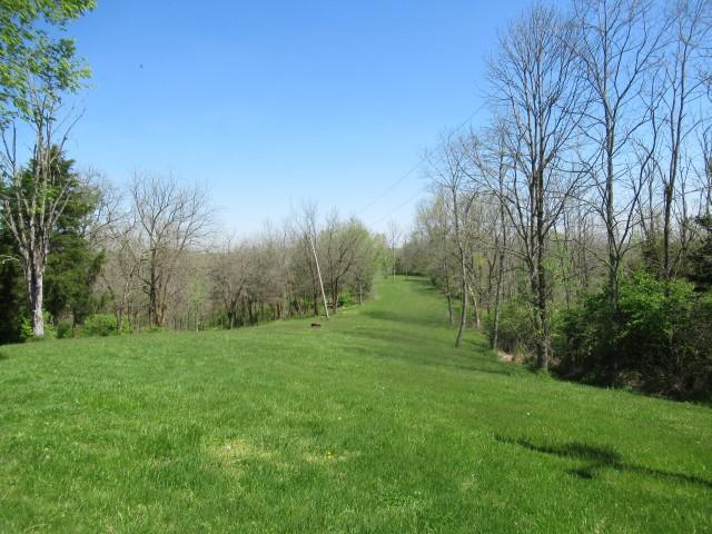 1424 Willisburg Road Lawrenceburg, KY 40342 - Photo 1 of 9 IMG_1606 (Small) - Copy