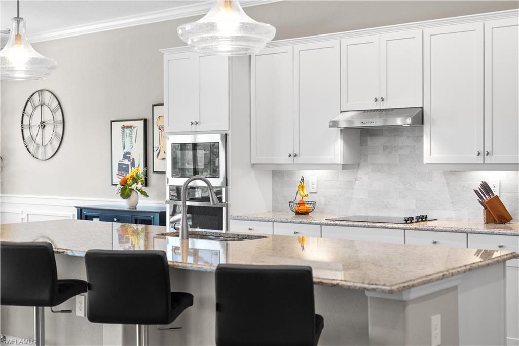 19086 Elston Way Estero, FL 33928 - Photo 24 of 50