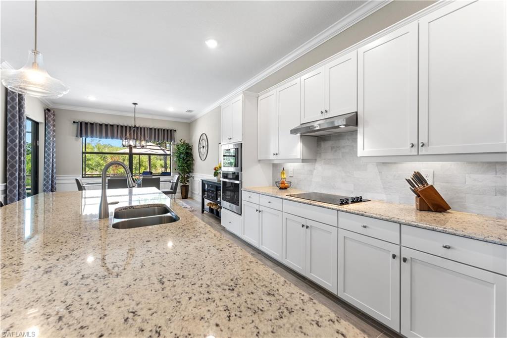 19086 Elston Way Estero, FL 33928 - Photo 25 of 50