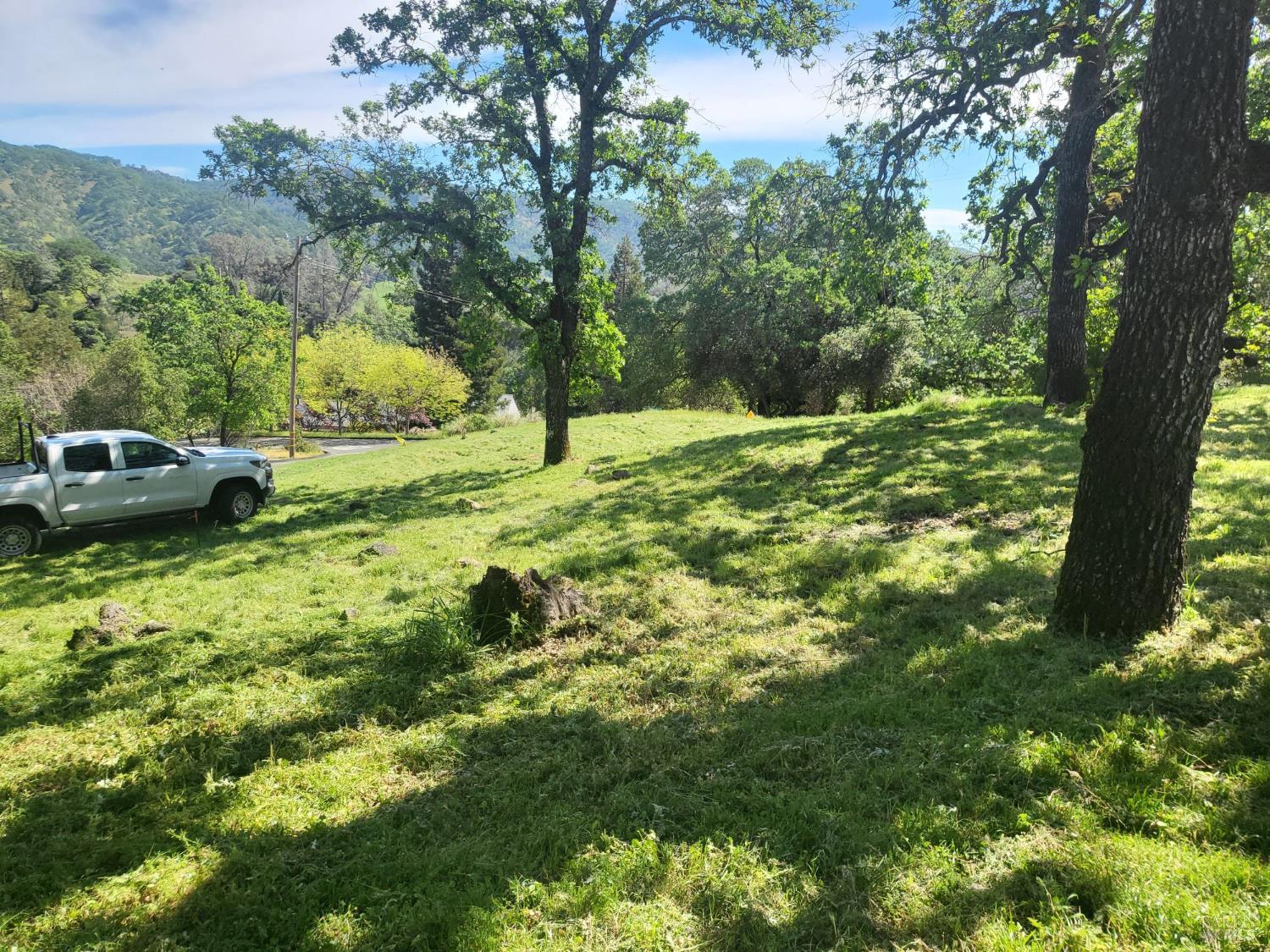 10 Ridgecrest Drive Napa, CA 94558 - Photo 2 of 13 a view of yard with green space