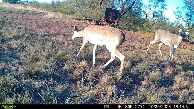 $750,000 | 2365 Cr 355 Justiceburg Tx 79330, Justiceburg, TX 79330