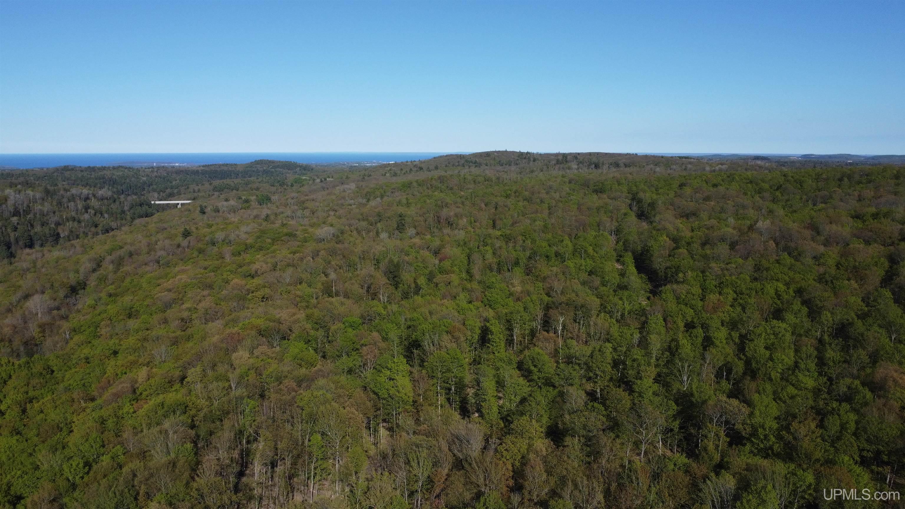 Off Off Hoist Road Negaunee, MI 49866 - Photo 11 of 45