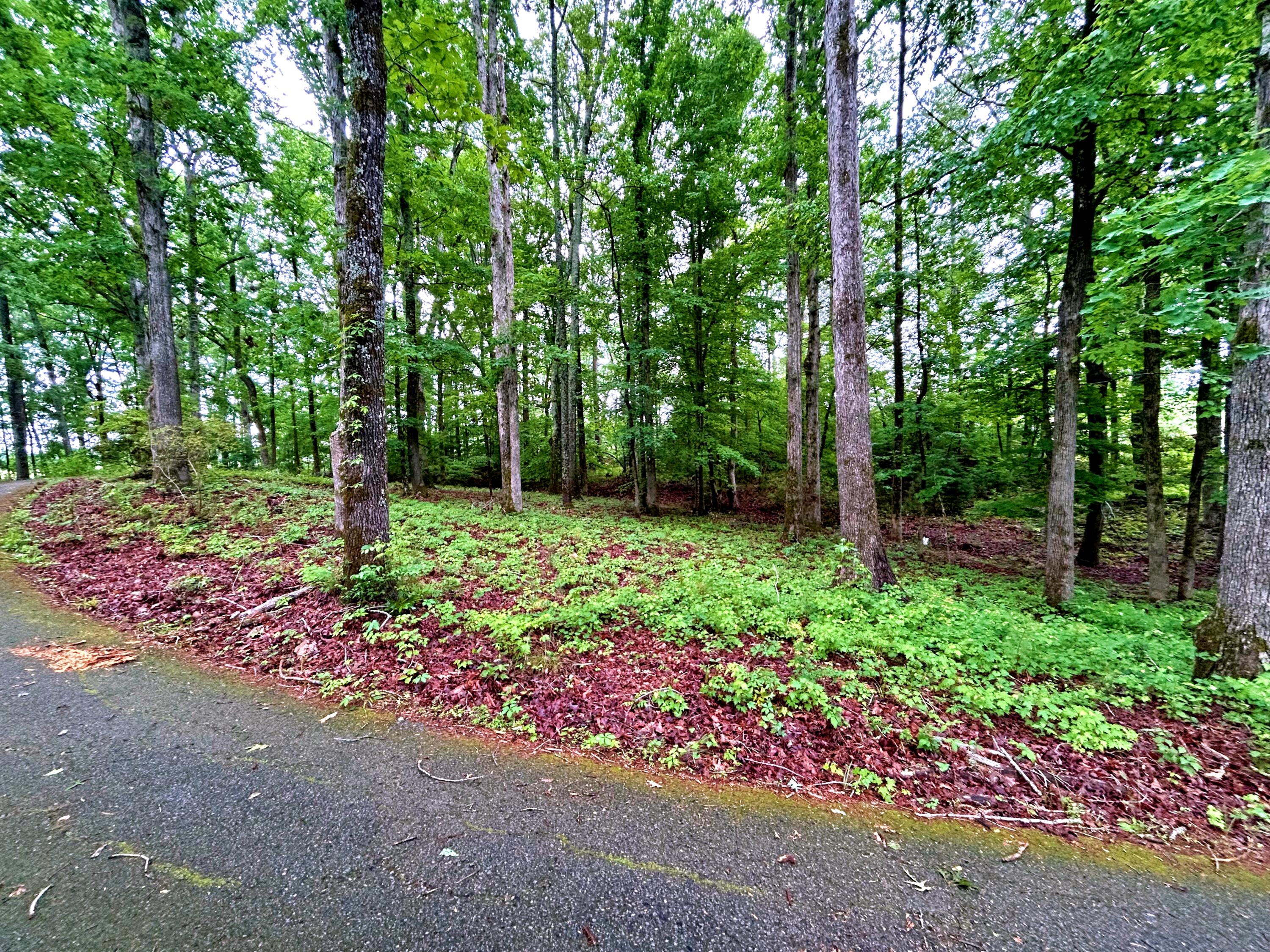 2221 Deadfall Road West Greenwood, SC 29649 - Photo 56 of 60 batch_IMG_0636