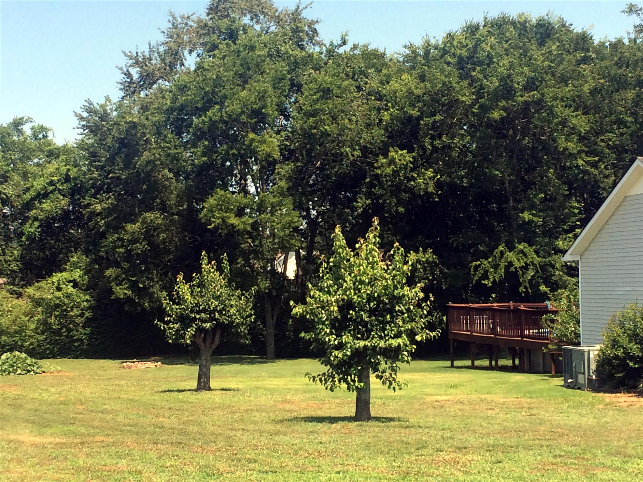 300 Rachel Road Pulaski, TN 38478 - Photo 25 of 28 View of side lawn with small garden spot