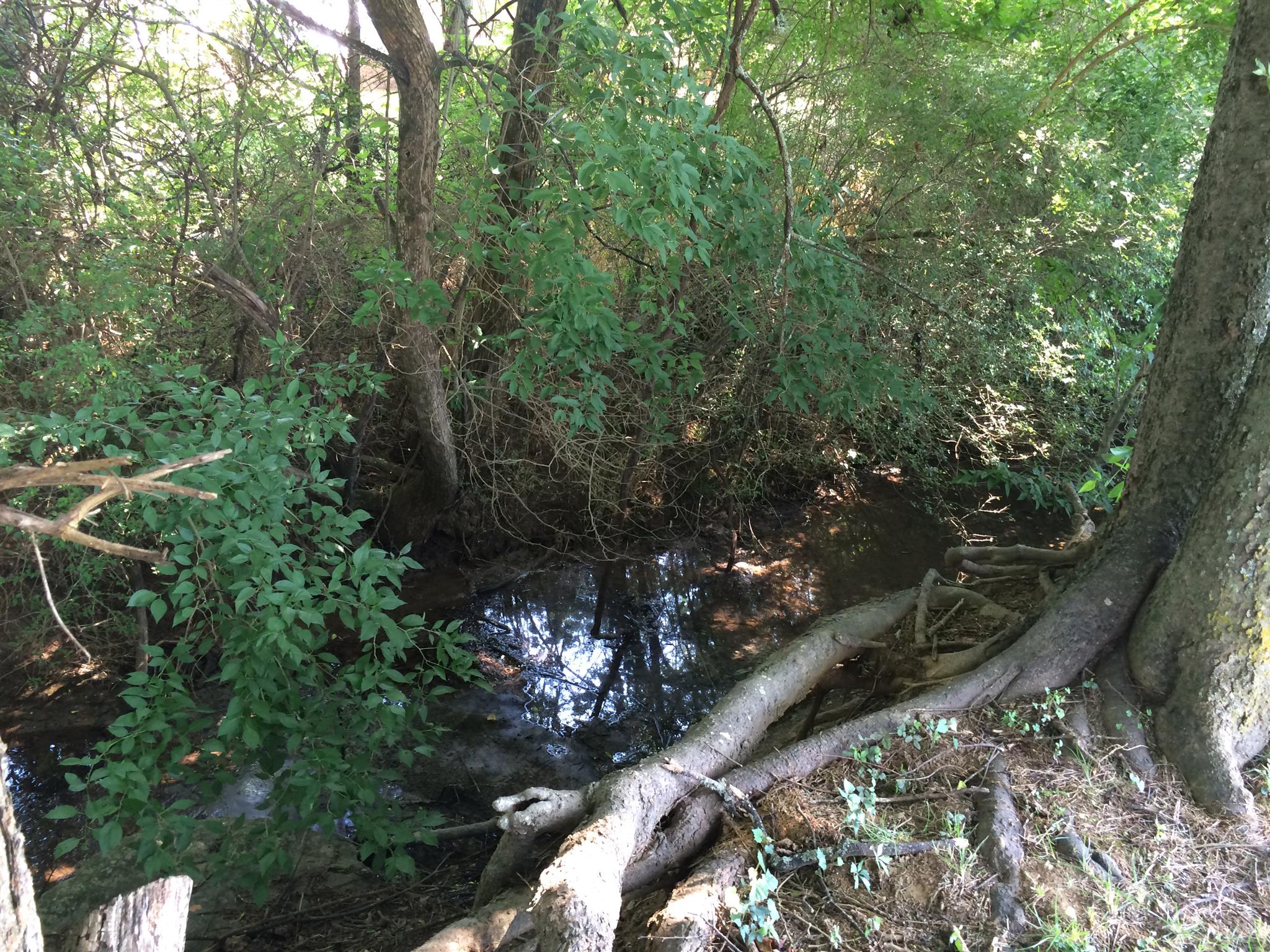 300 Rachel Road Pulaski, TN 38478 - Photo 6 of 28 View of creek